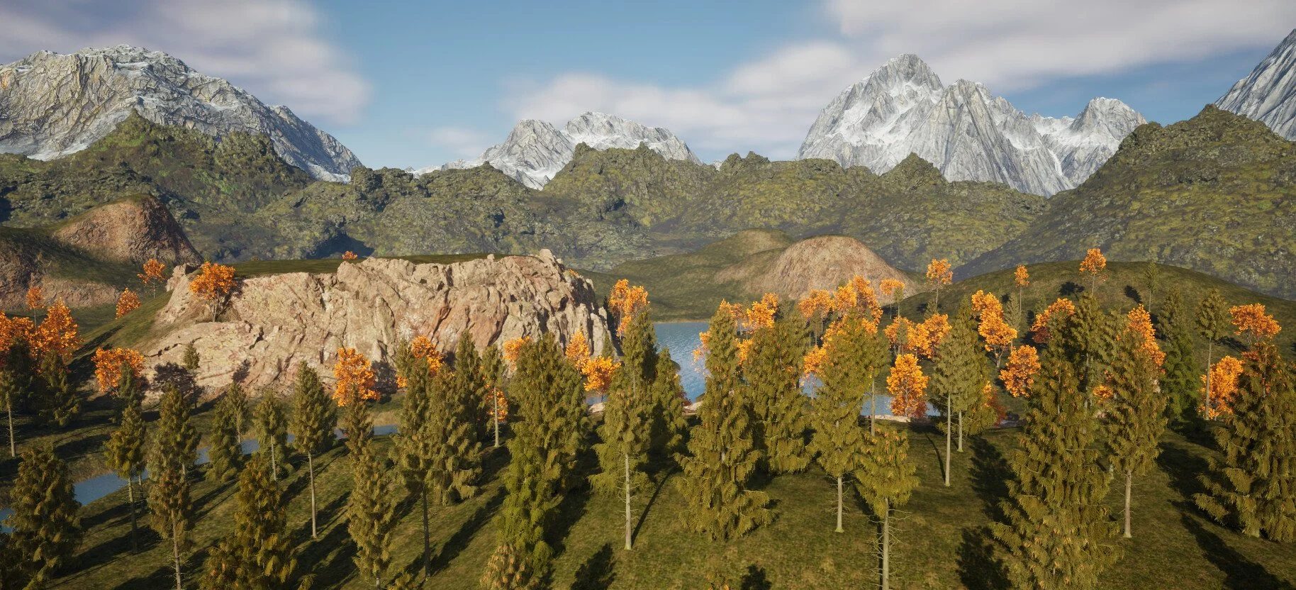 5th spruce trees.jpg