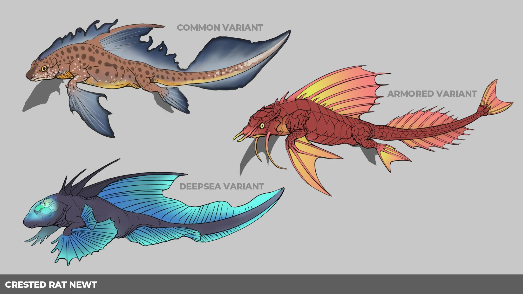 CrestedRatNewt_variants.jpg