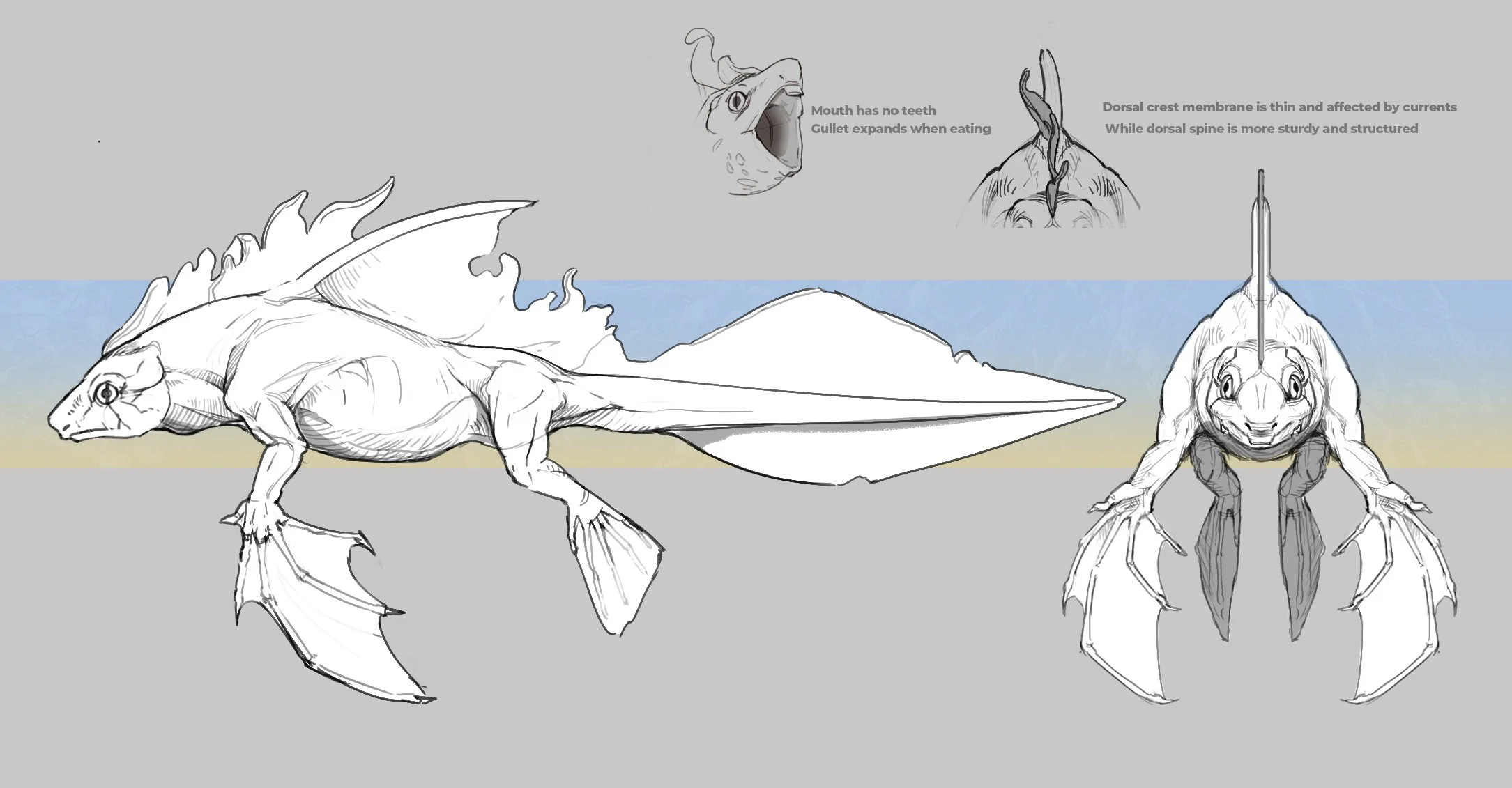 CrestedRatNewt_turnaround.jpg