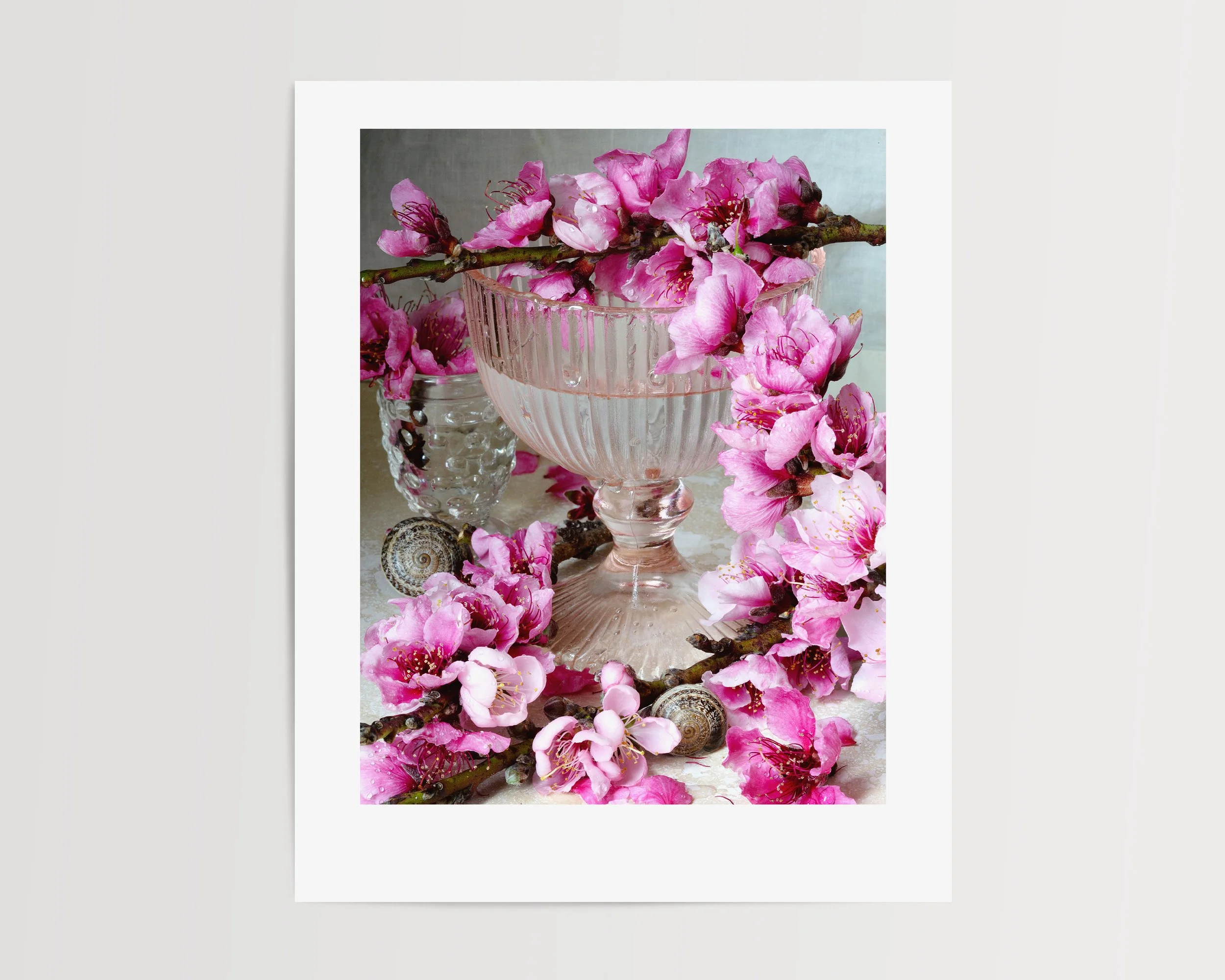 Modern Still Life of Pink Peach Blossoms