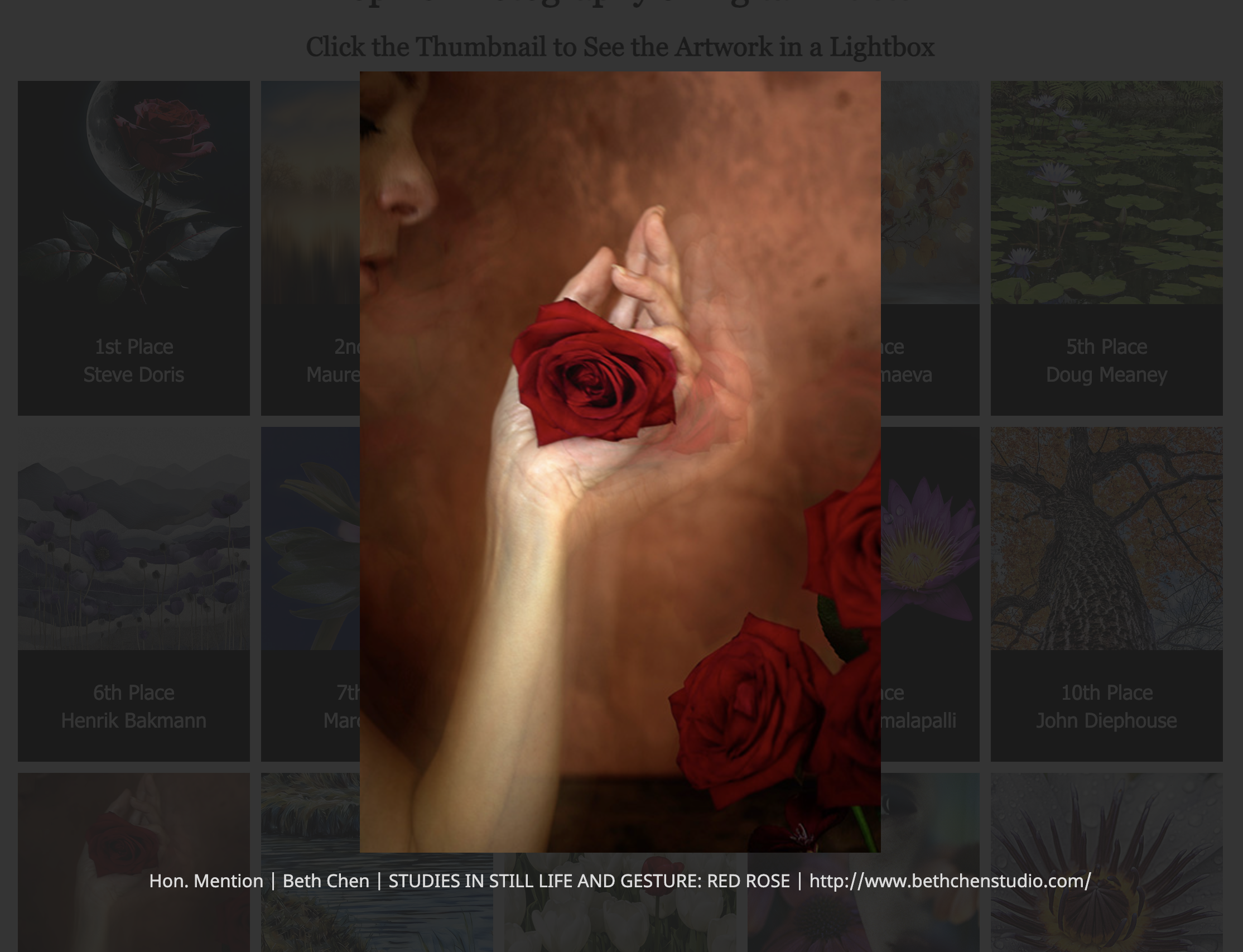 “Botanicals” Art Exhibition