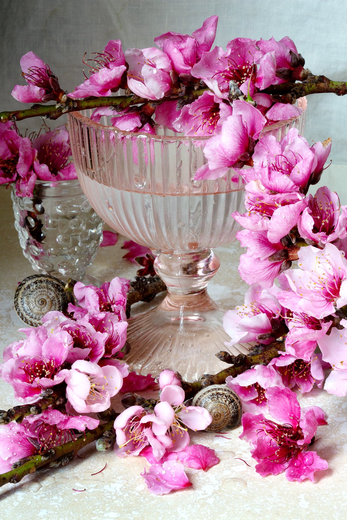 The Inspiration Behind Modern Still Life of Pink Peach Blossoms