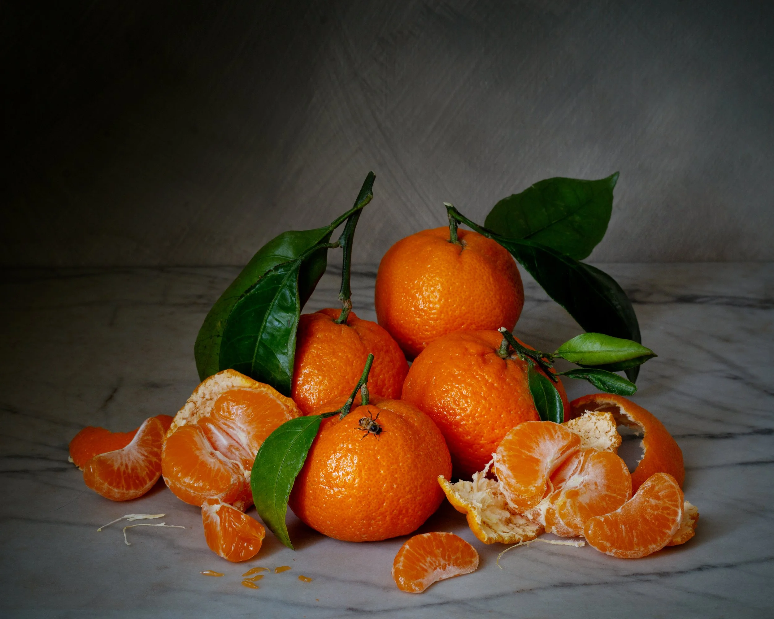 Moody still life photograph of mandarin oranges with a bee in soft, painterly lighting