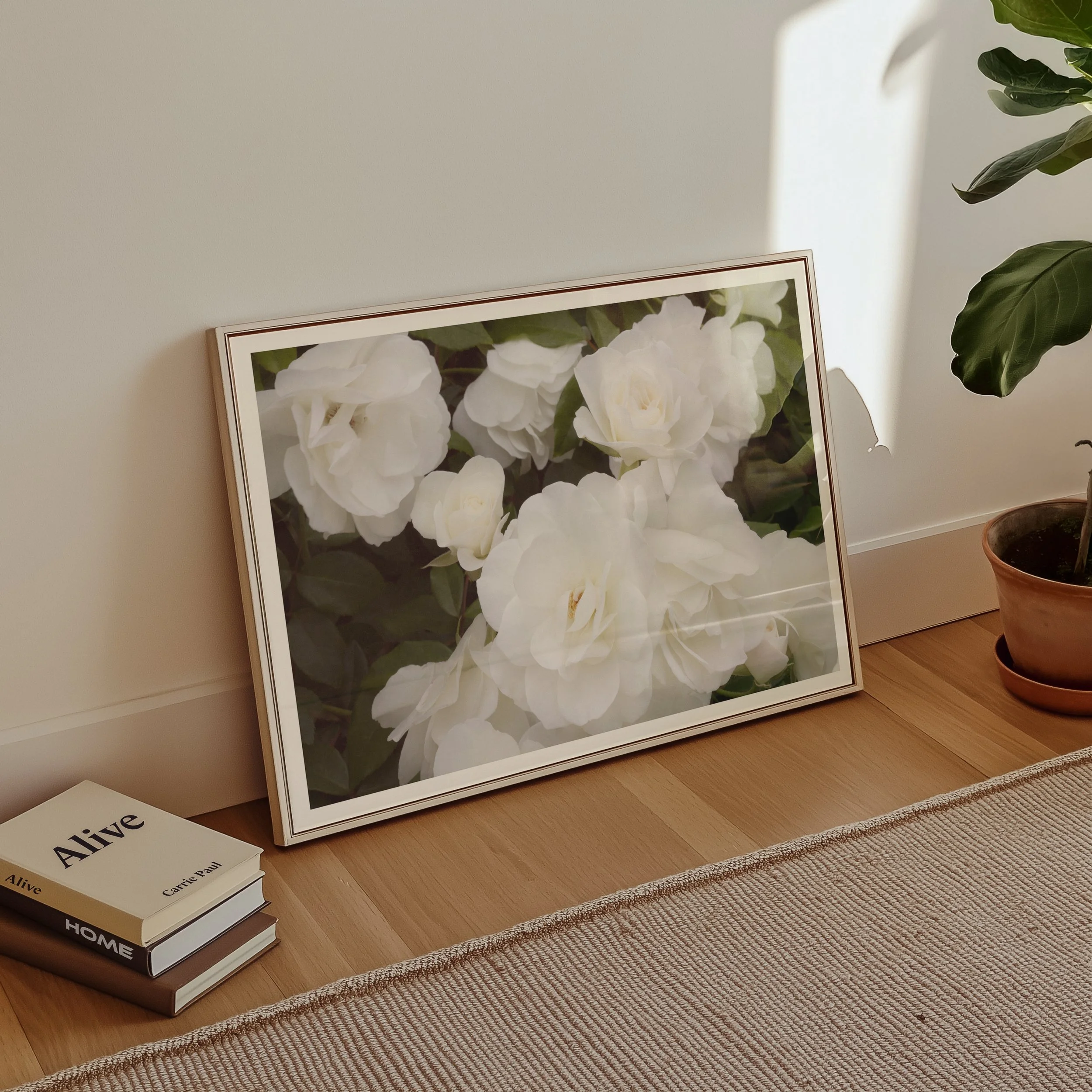 moody fine art photograph of white roses in frame on floor