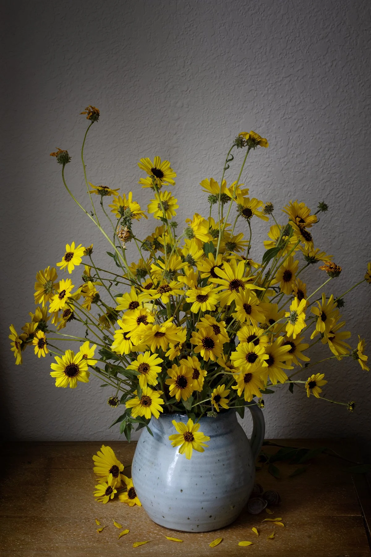 Wild sunflowers arranged in a moody still life composition with soft, dramatic lighting and dark background, emphasizing their natural, delicate form.