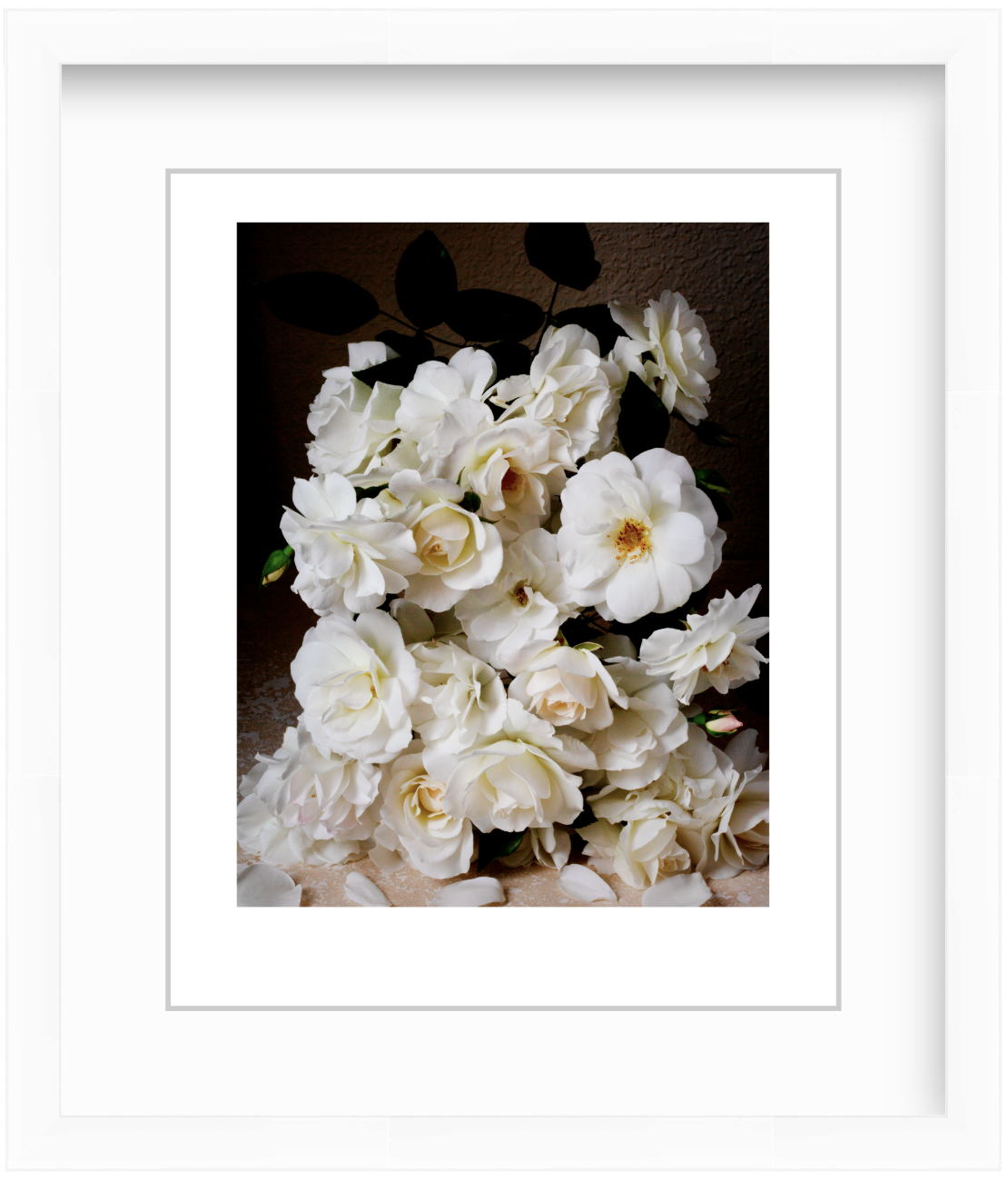 White roses arranged in a studio still life with moody, low-key lighting and a dark background, creating a soft and elegant fine art floral composition.
