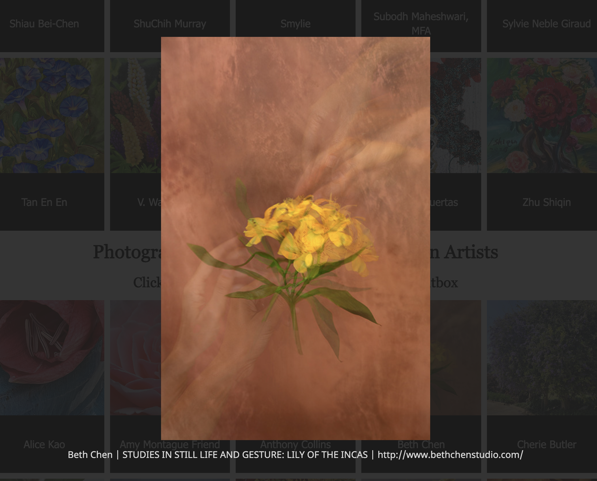 ghost like hands reaching for yellow flowers