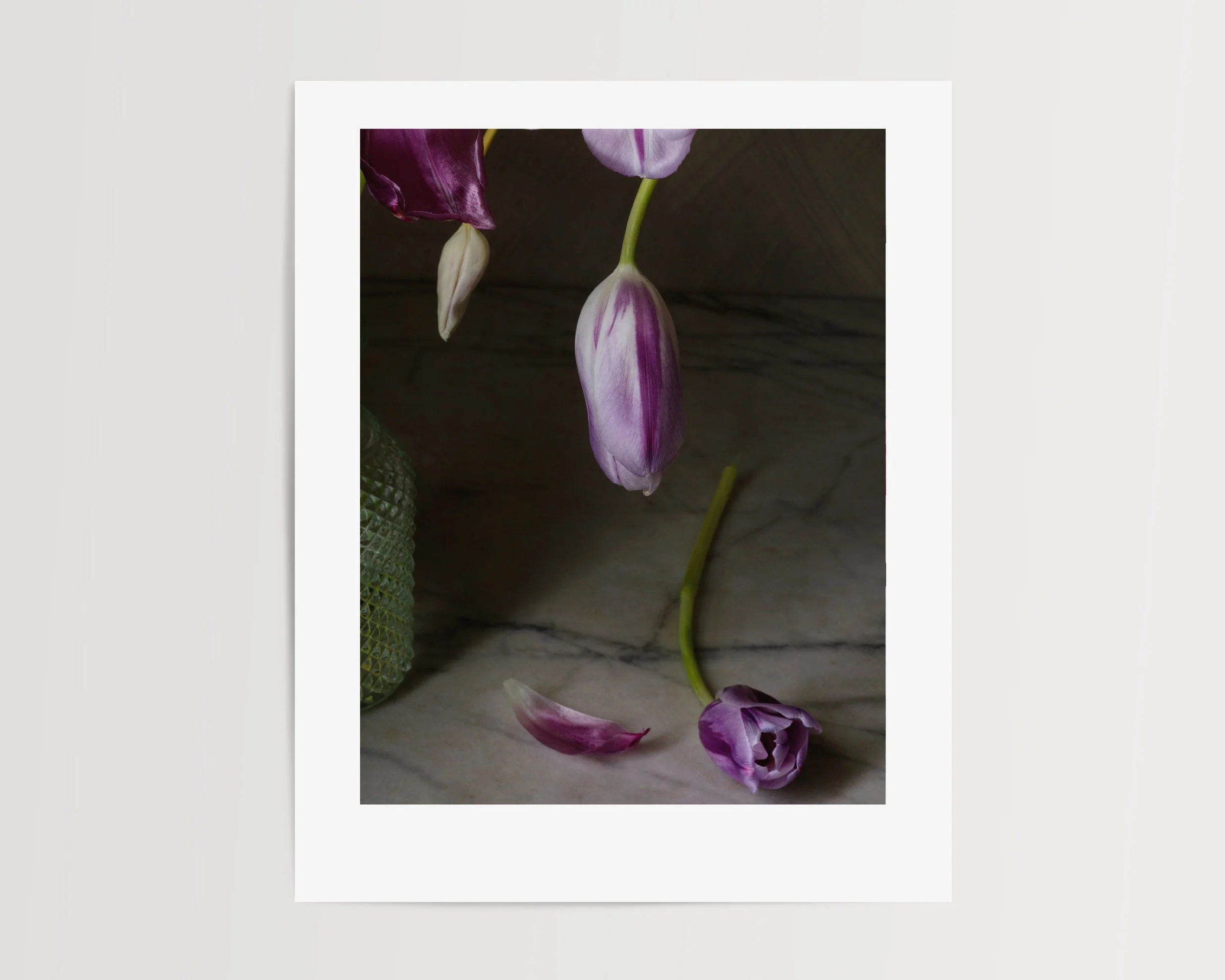 Modern Still Life of Purple Tulips