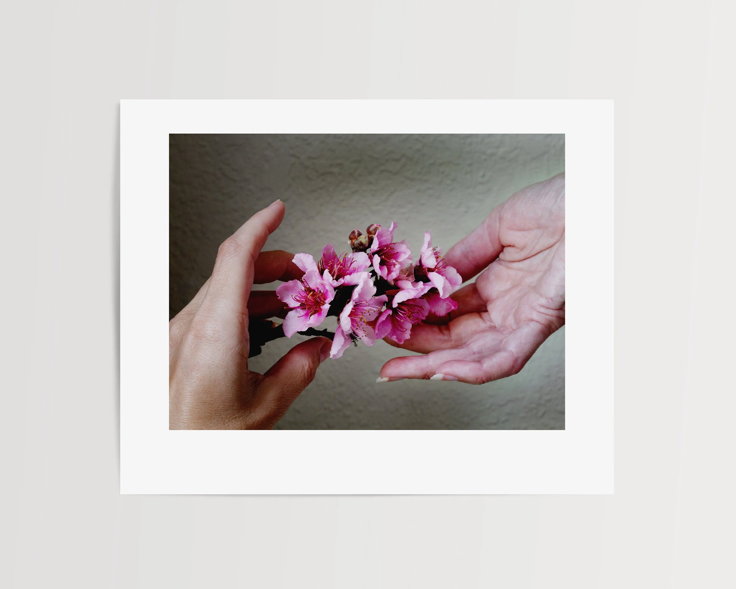 Hands Passing Peach Blossoms