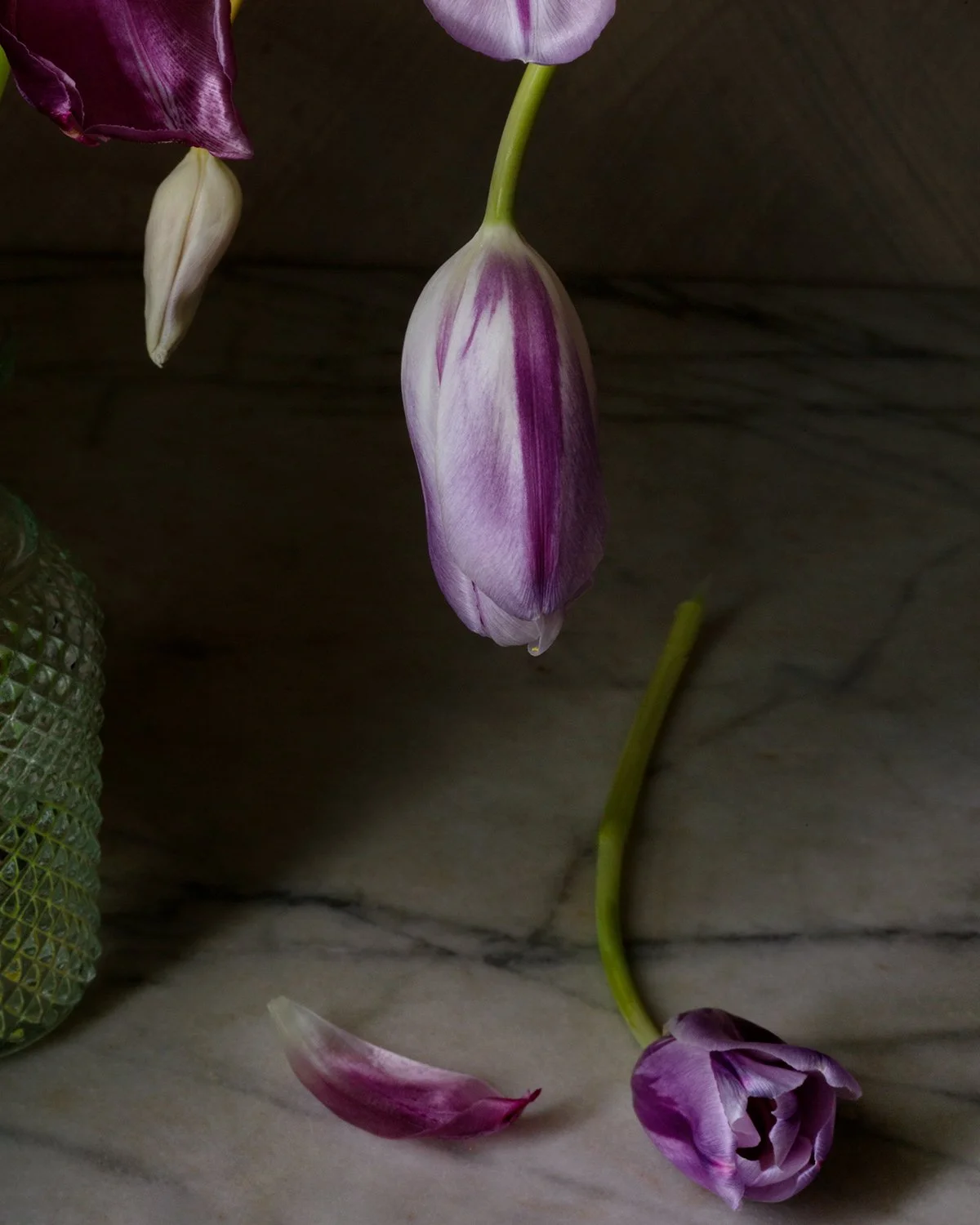 Purple tulips arranged in a modern studio still life with minimalist styling and soft, even lighting.