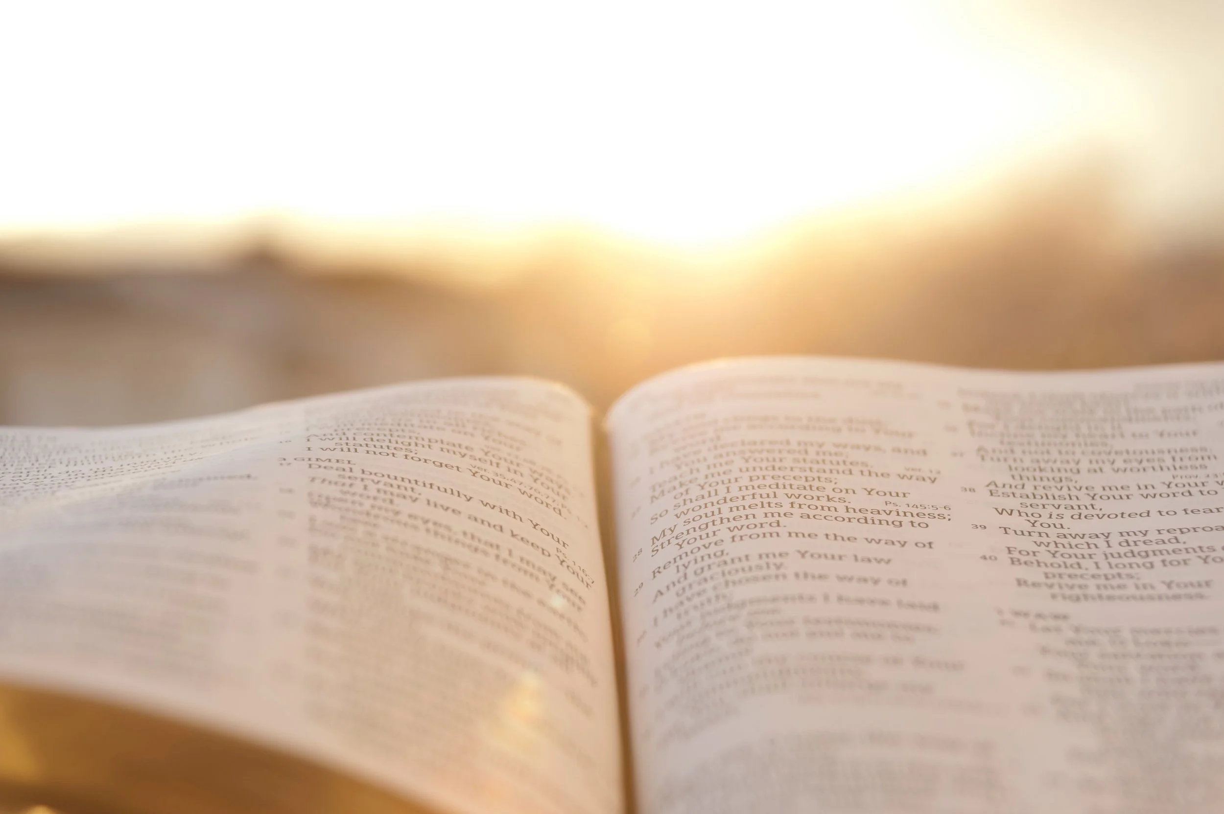 Open Bible on a surface with sunlight in the background