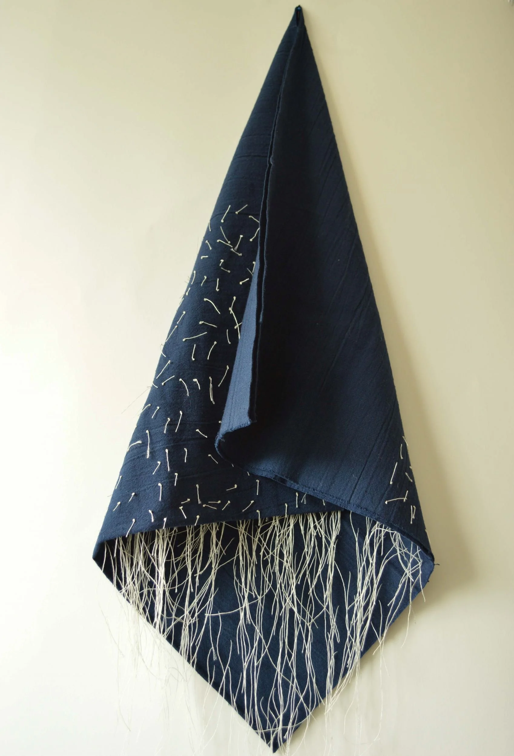 blue and white transformation.jpg