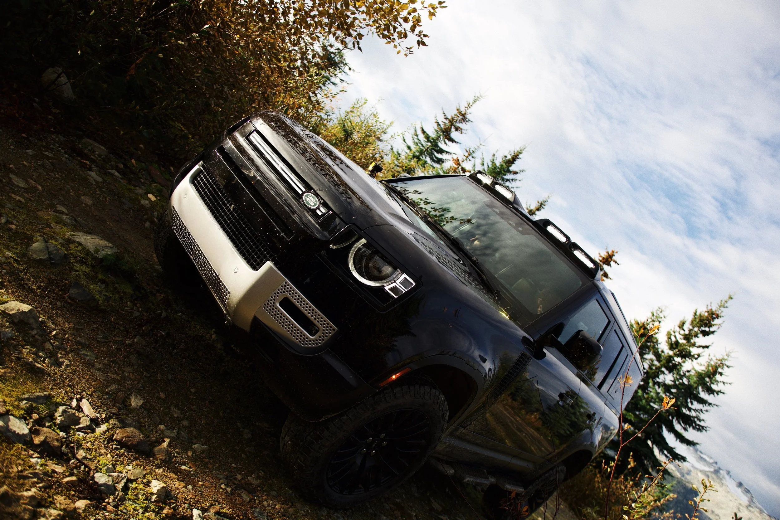 Whistler Discovery Bear Tours