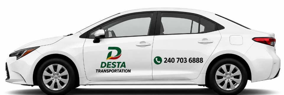 desta 4.png