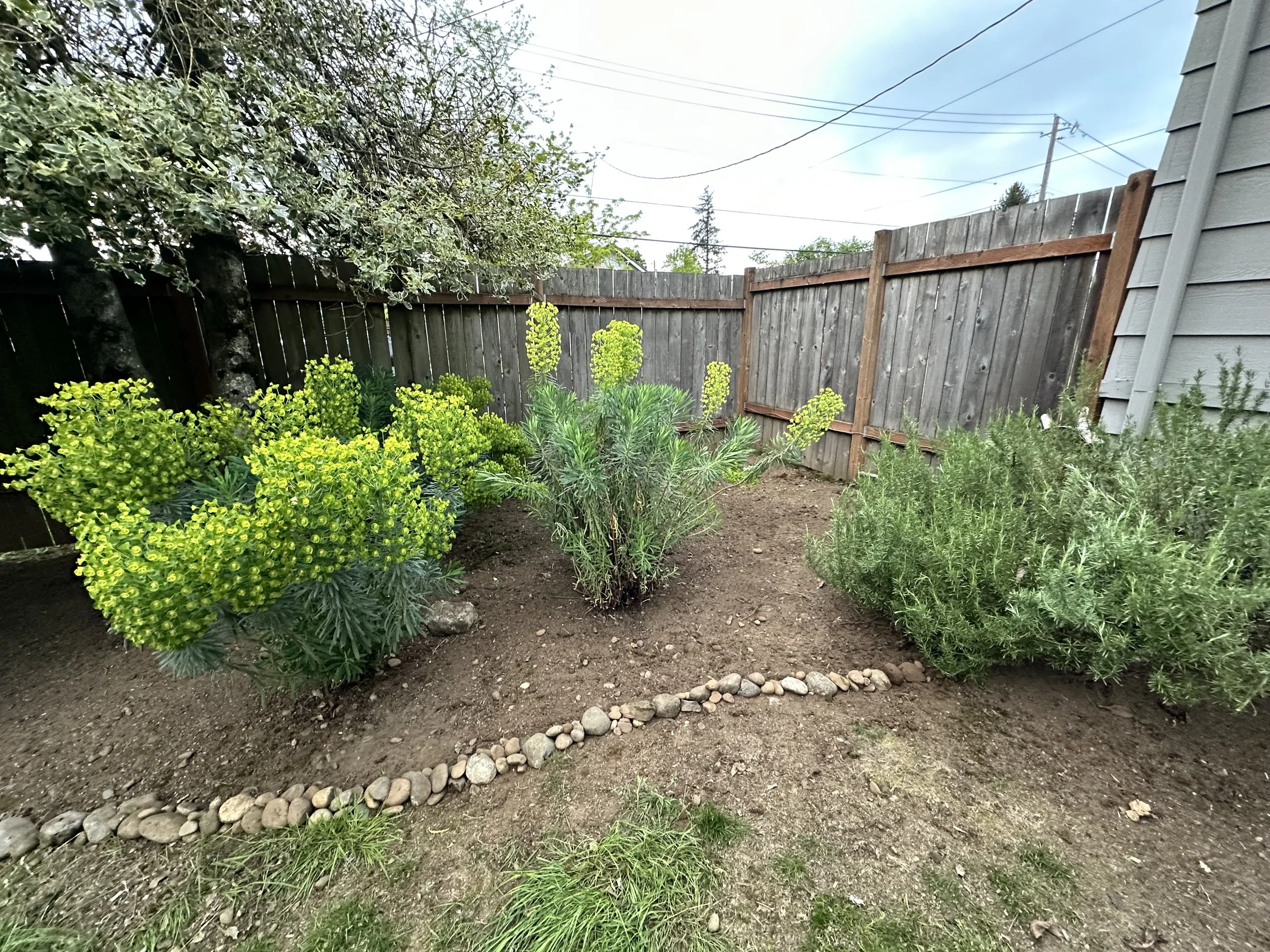 From Overgrown to Open House Ready!