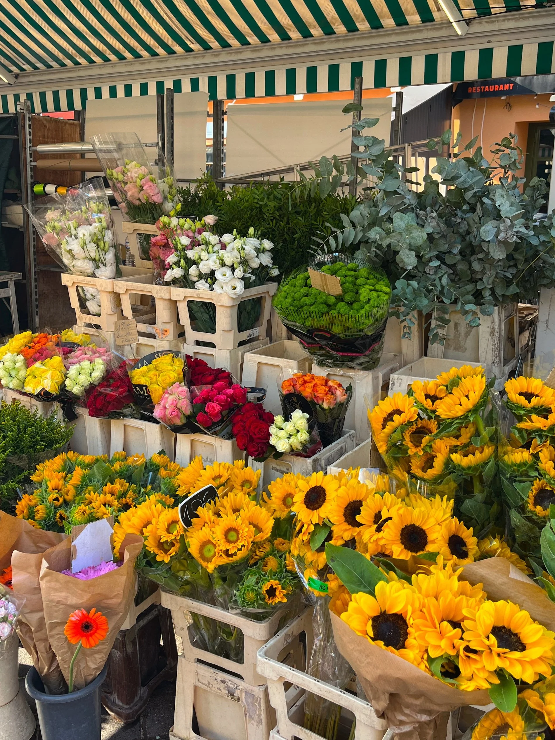 Zurich Homes Luxury Builder Nashville Franklin Tennessee Guide 3.jpeg