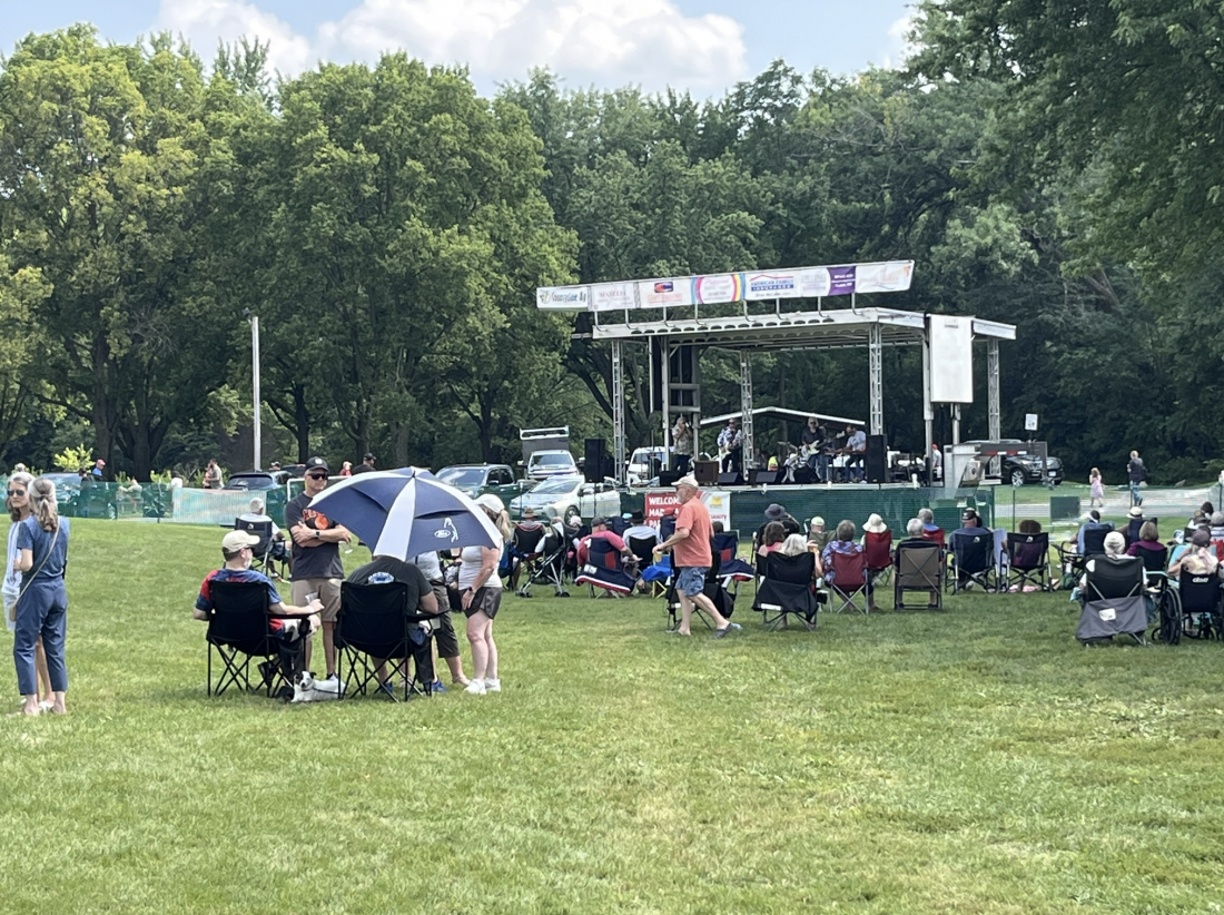 Watona Park Blues Festival - Madelia Area Chamber of Commerce.png