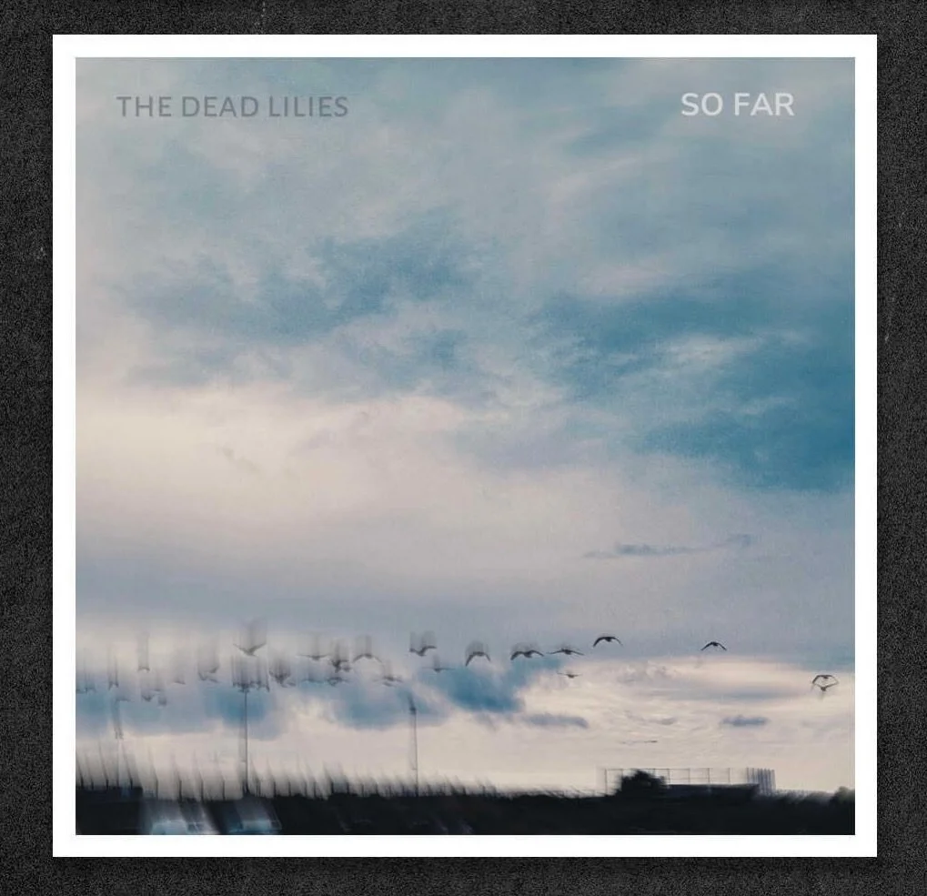 So Far - The Dead Lilies 🌺 Wrote and produced this tune with @amosvanderpoel, out now on all the things!