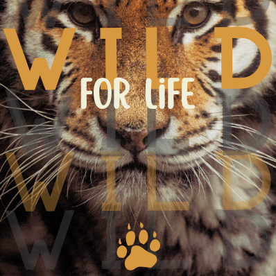 WildForLife.png