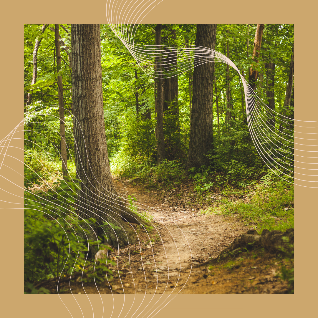 The Third Path