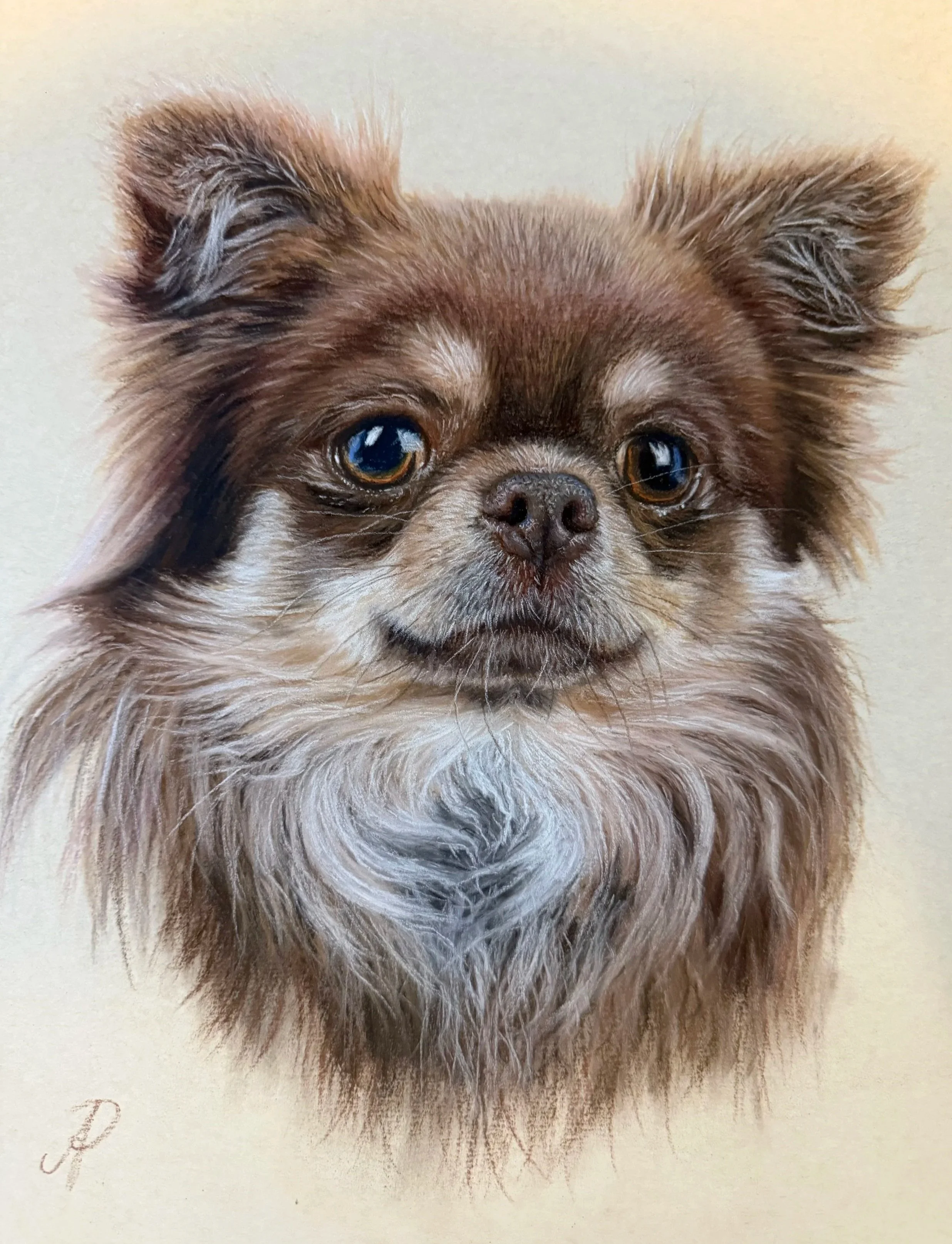 That Face, 2026. Soft pastels on sanded pastel paper - 12 x 9 inches. 