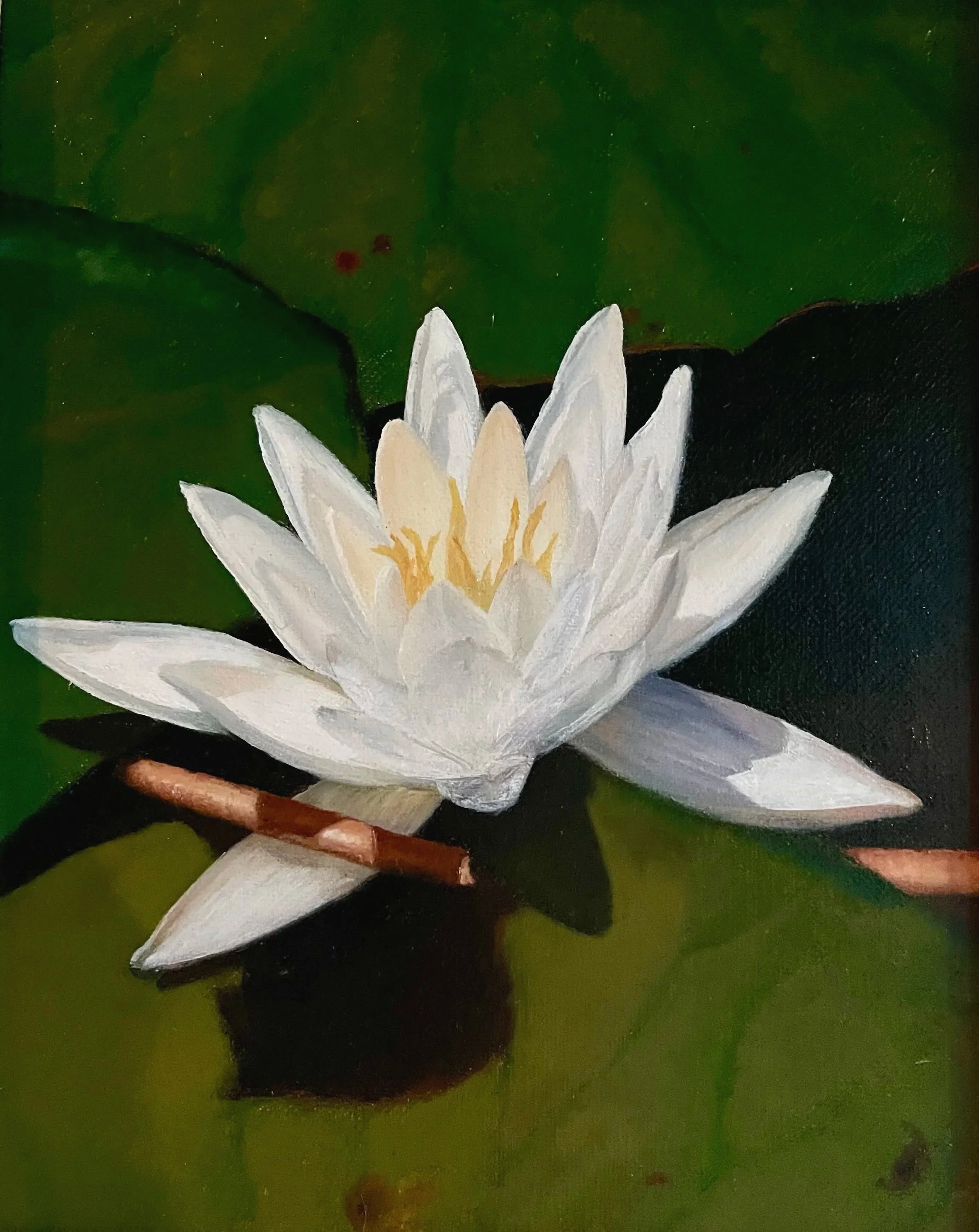 Waterlily, 2023. Oil on board - 10 x 8 inches. 