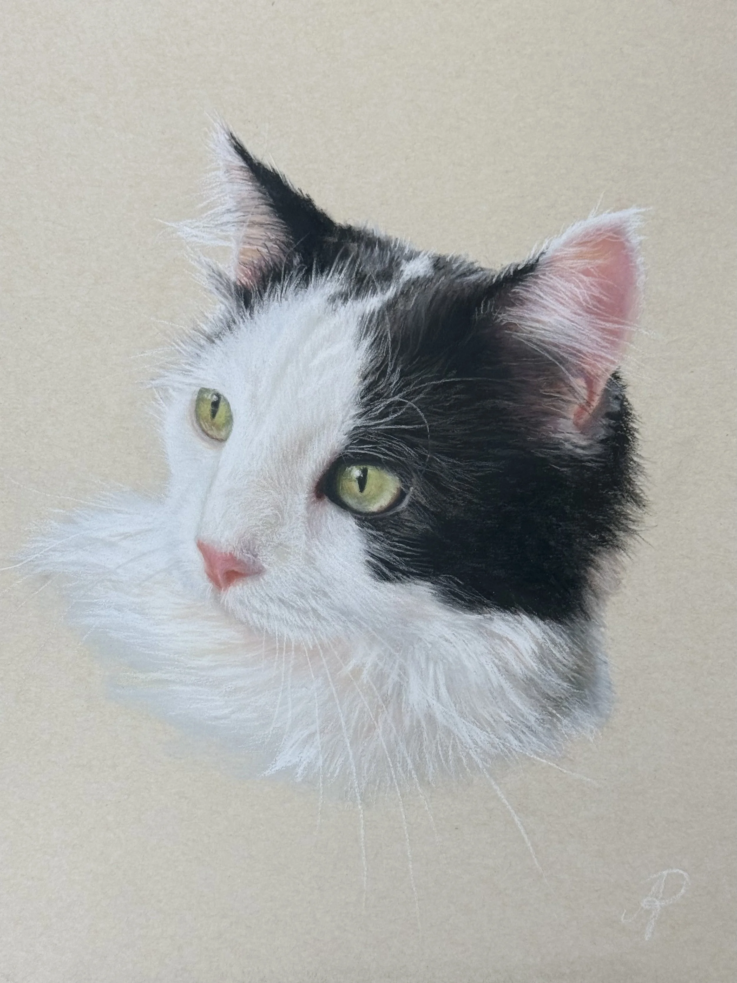 Myla, 2026. Soft pastels on sanded pastel paper - 12 x 9 inches. Private collection. 