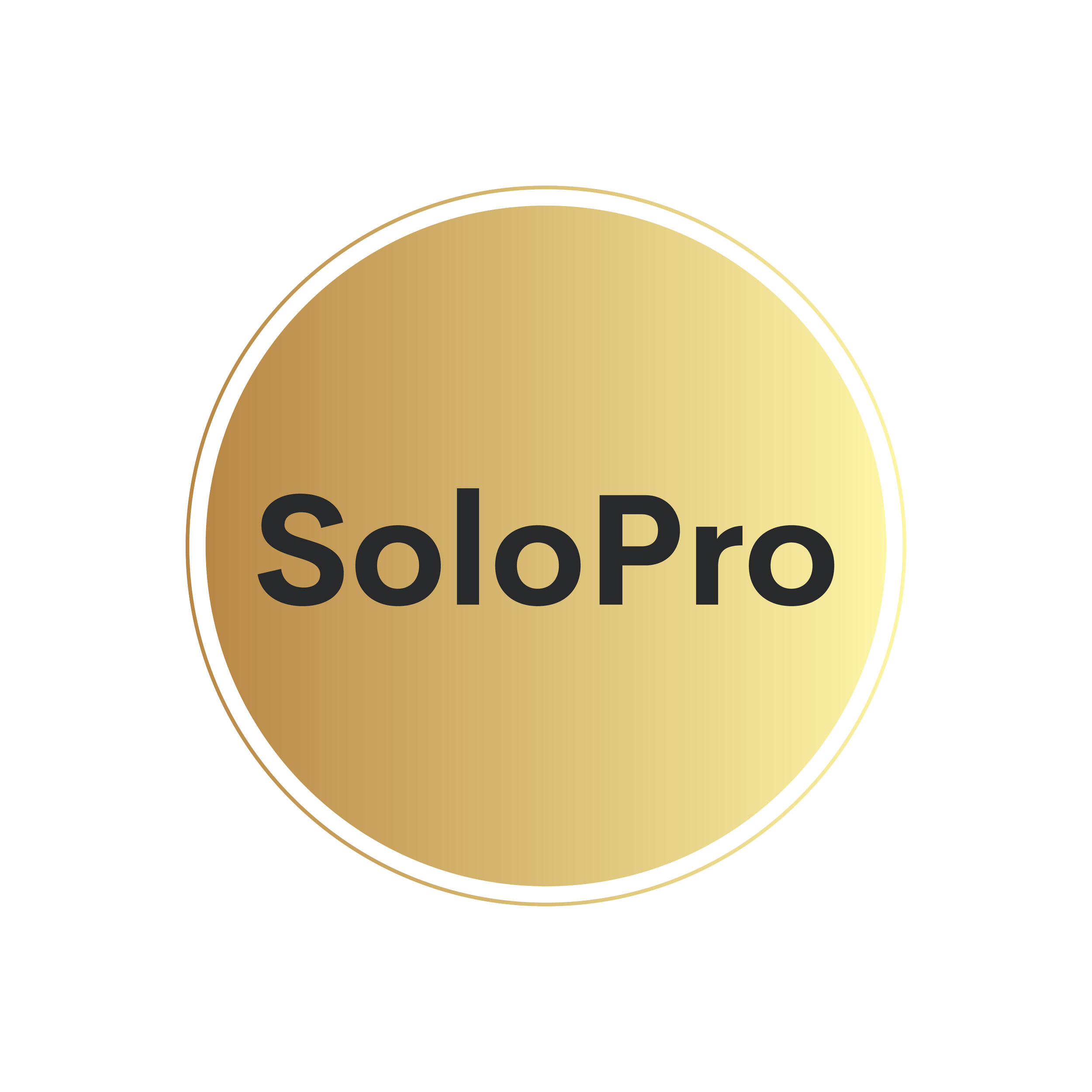 Logo des Unternehmens SoloPro