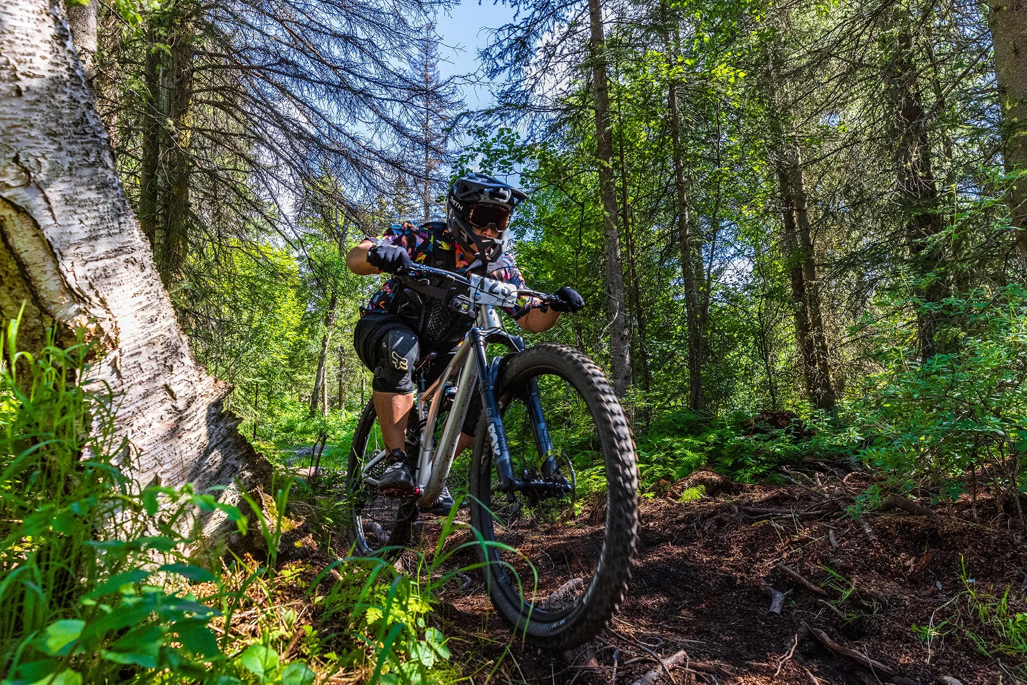 A person wearing a black helmet, sunglasses, and colorful clothing riding a mountain bike on a downhill dirt trail in a dense forest with tall trees and green foliage.