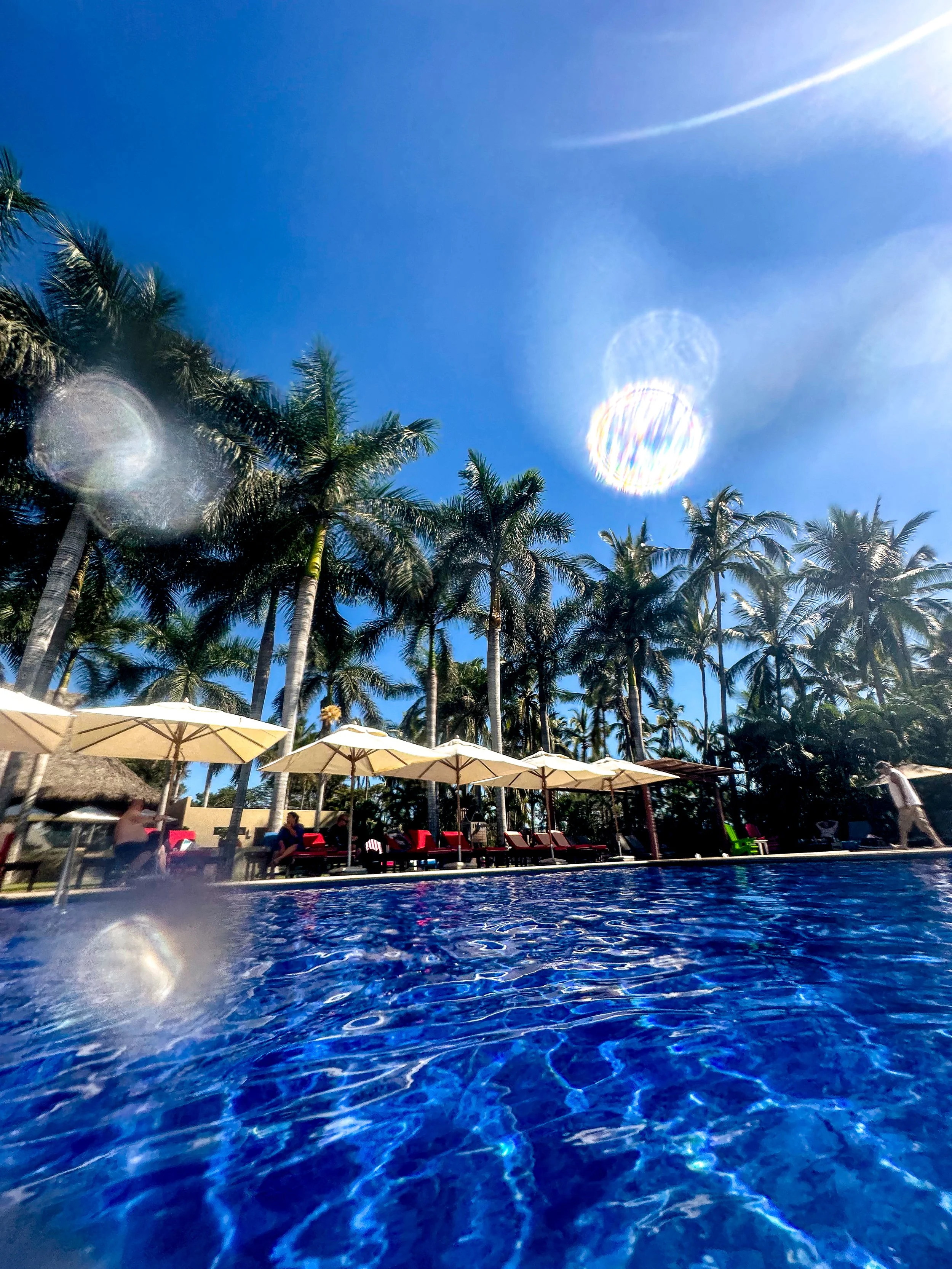 A swimming pool surrounded by palm trees and lounge chairs with umbrellas under a bright blue sky with sunlight and lens flares.