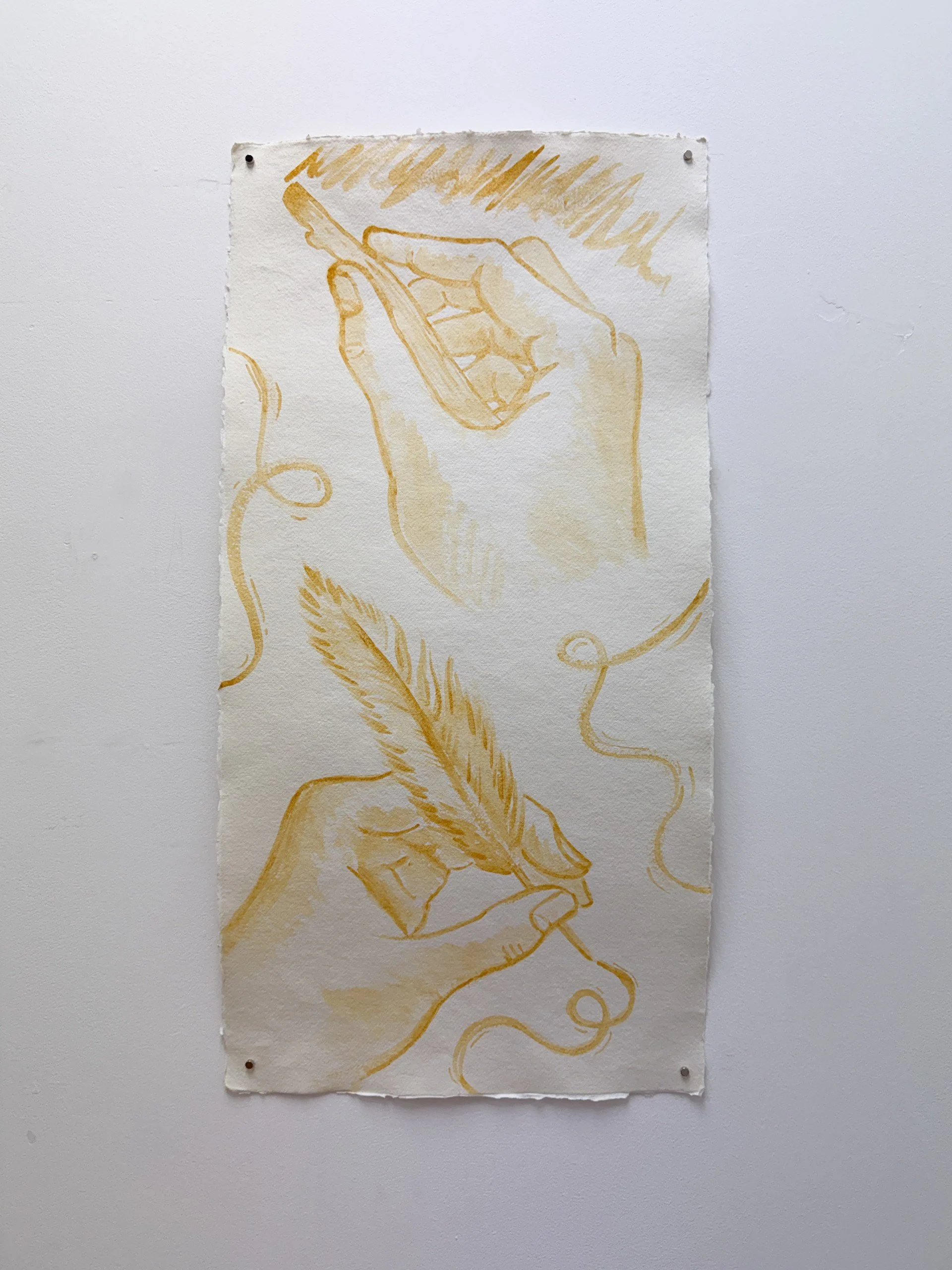 Hands drawing and sketching. Painted straight on to the page (no pre-sketch) using watercolours handmade from locally occurring natural pigments. 
2025
Photograph courtesy of Caroline Beale-Johnson
