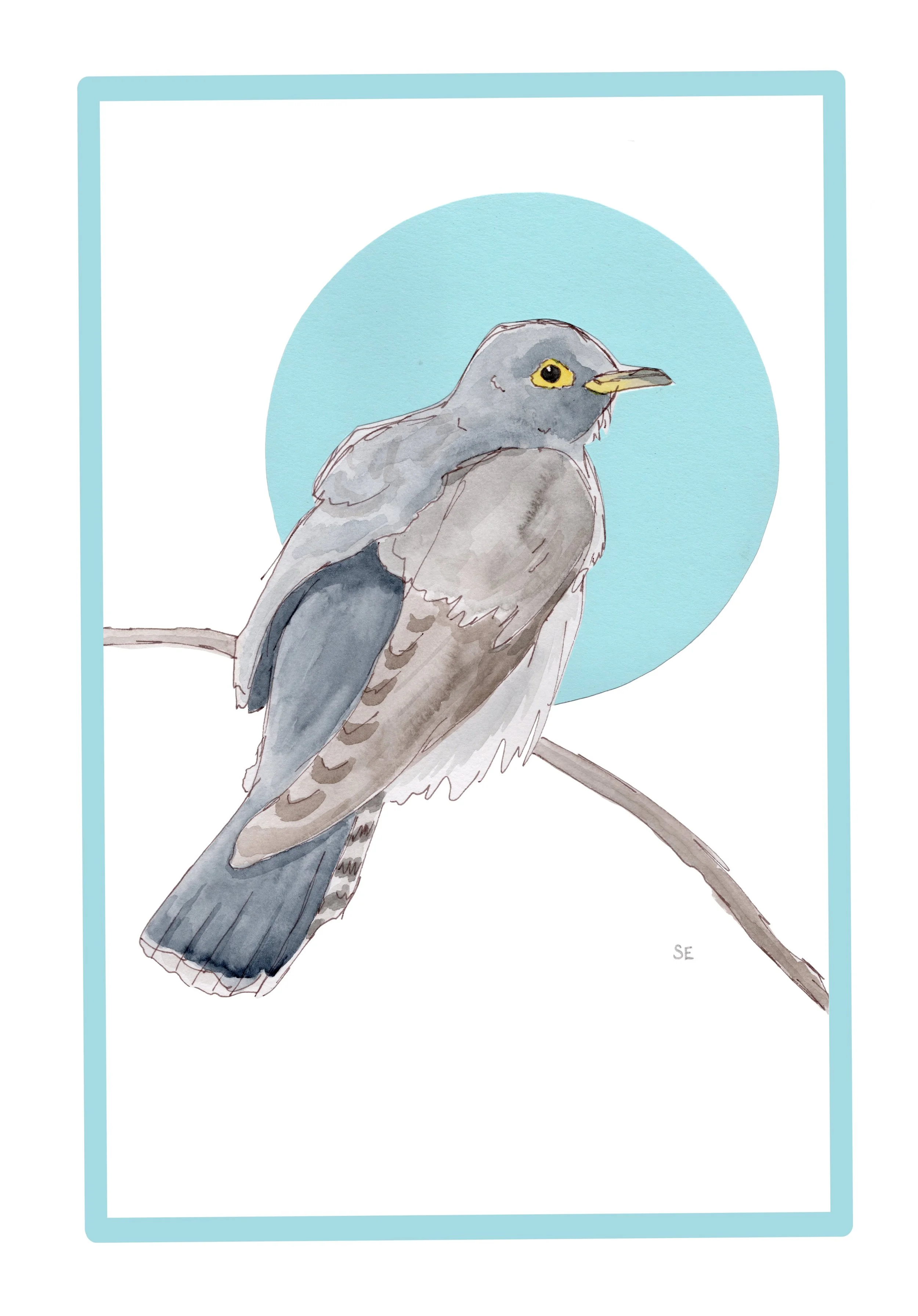 Sally Eyre Picturing Poetry Cuckoo 2026.jpg