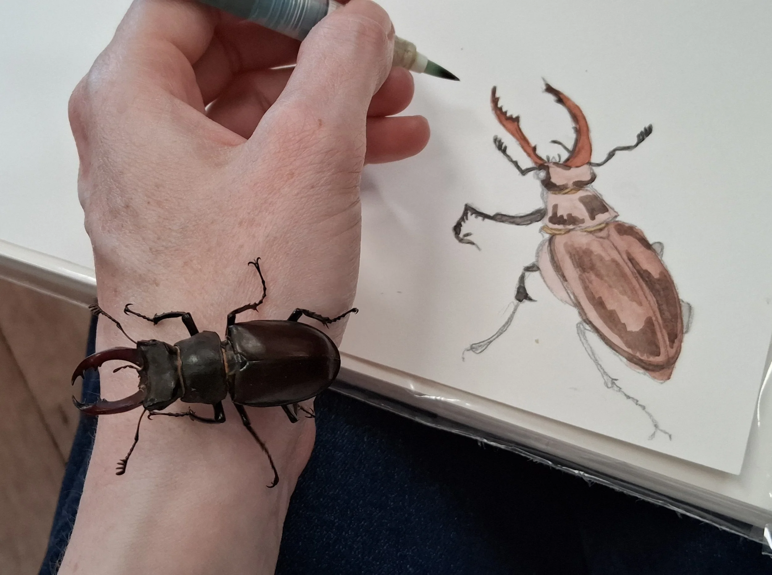 Nature Journal