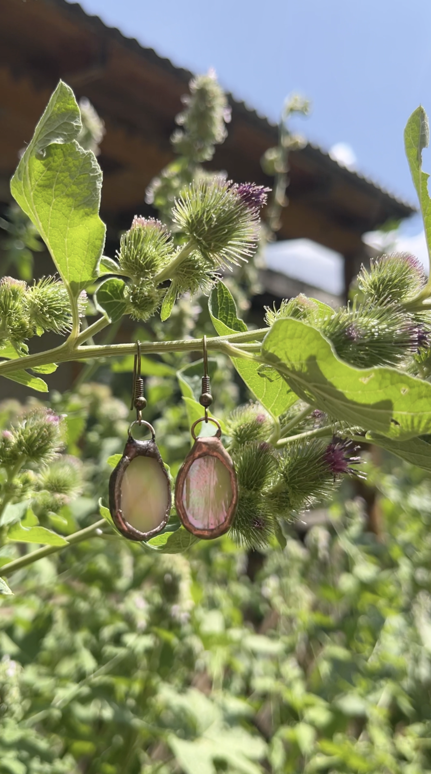 moondrop earrings on plant.png