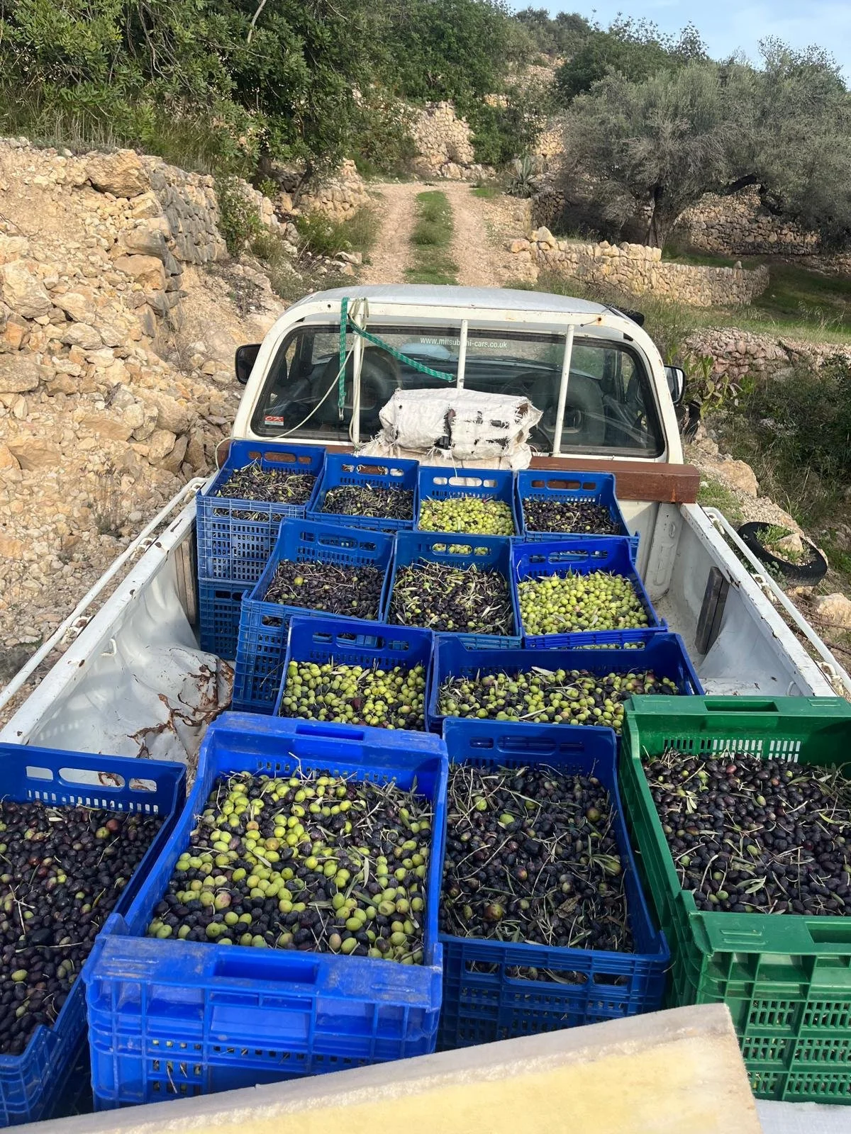 Olivenkisten auf Pick up.jpg