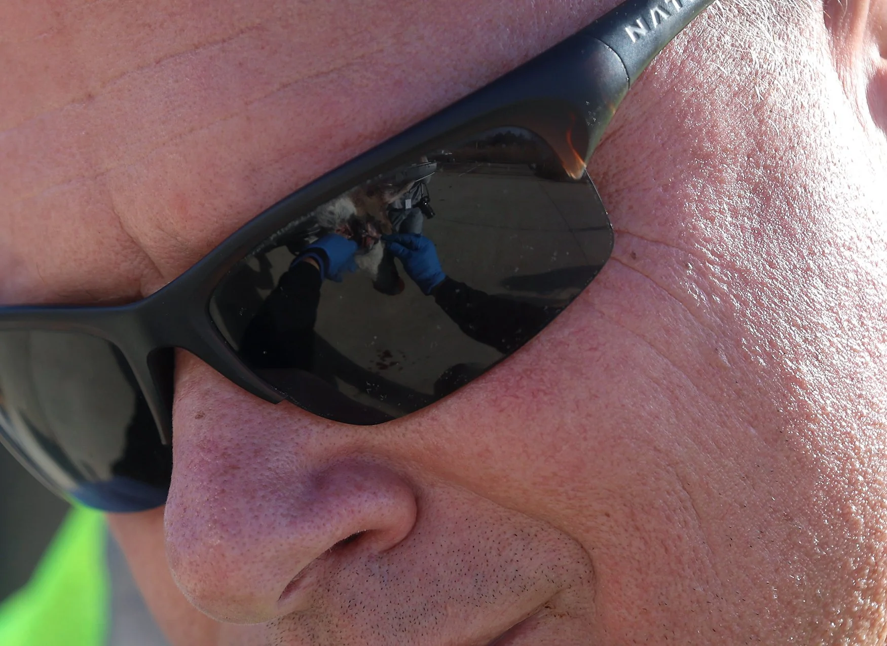 Region supervisor and station sampler John George cuts into a deer on Saturday at the Missouri Department of Conservation’s Central Regional Office in Columbia. George starts the cut by locating the lymph nodes, which are used to test for chronic was