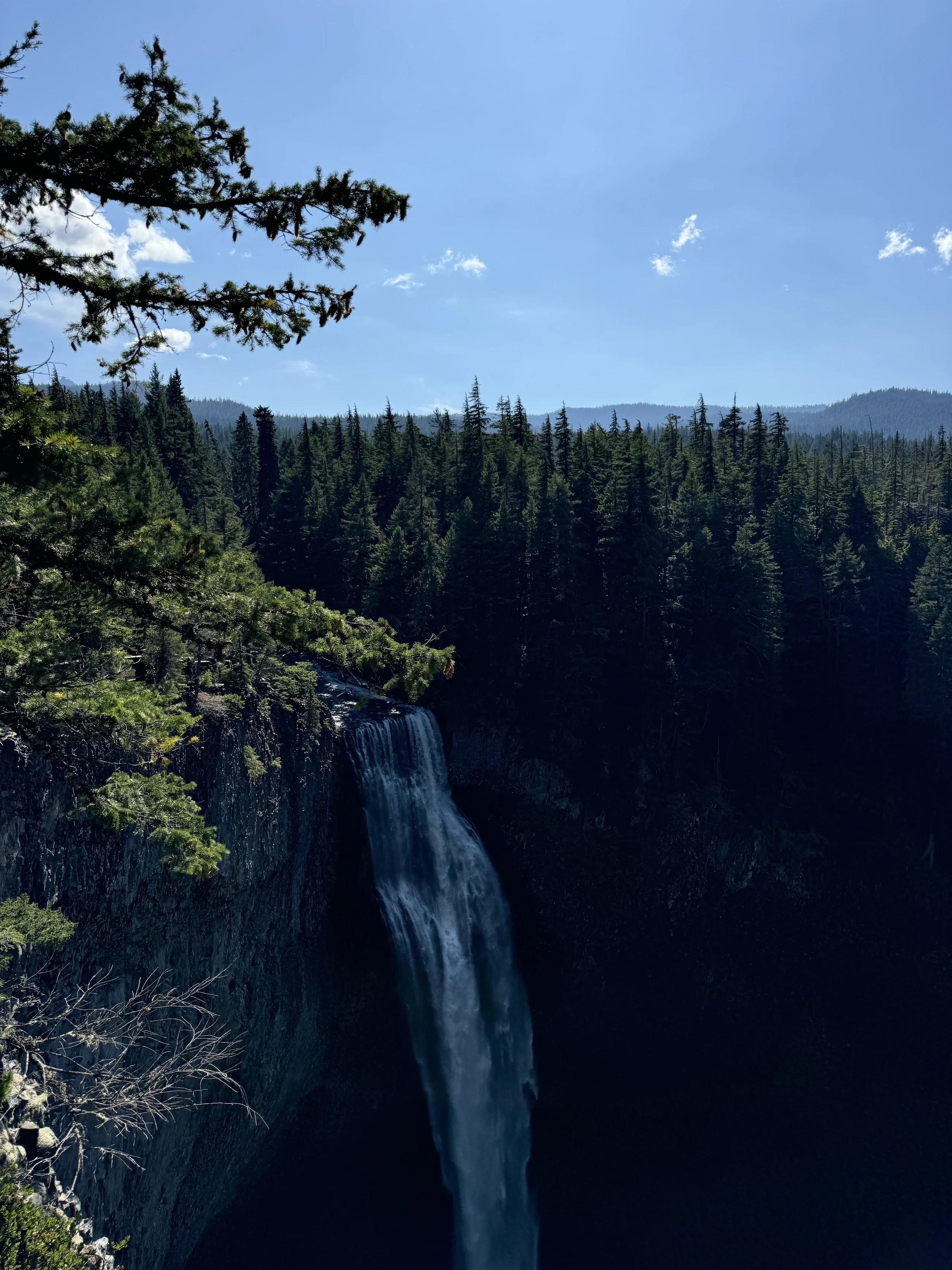 A waterfall flowing into a dark canyon, surrounded by dense evergreen forest and a bright blue sky with a few clouds.