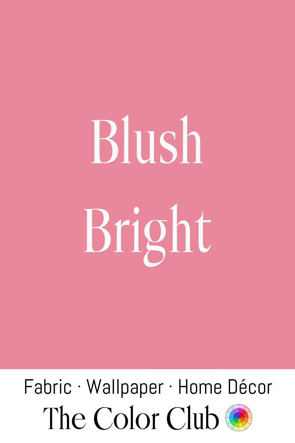 Cover of a decorating or fashion book titled 'Blush Bright' with a pink background and white text, published by The Color Club.