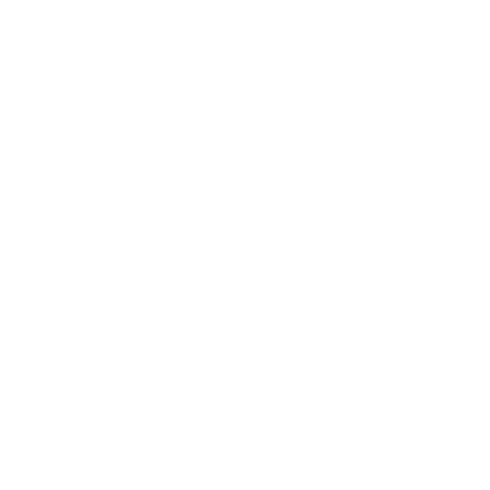 Black and white graphic with a leaf and the text 'No Artificial Preservatives Flavors Colors'.