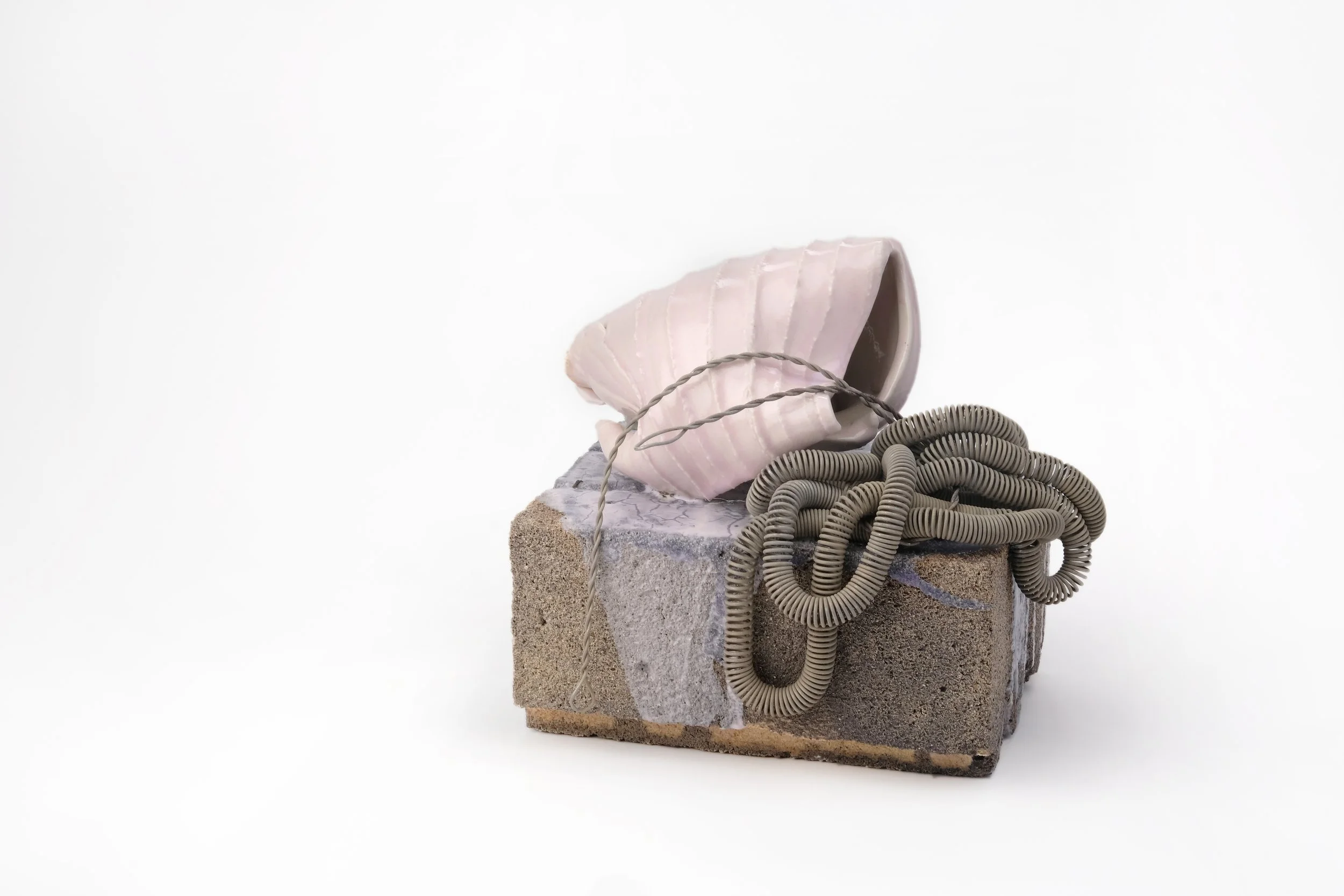 Pulsing with the Energy of Life_view2_AmberZuber.JPG