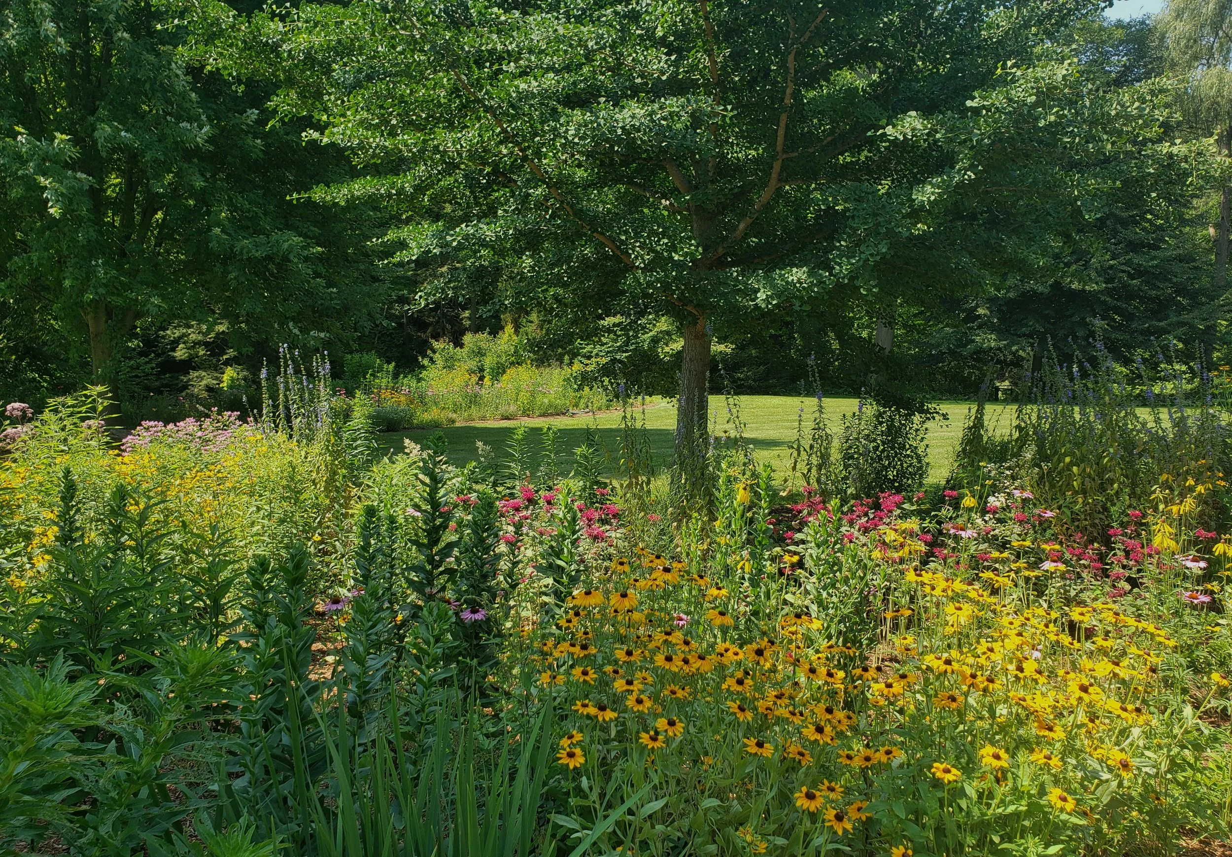 Garden View Amber 7.jpg