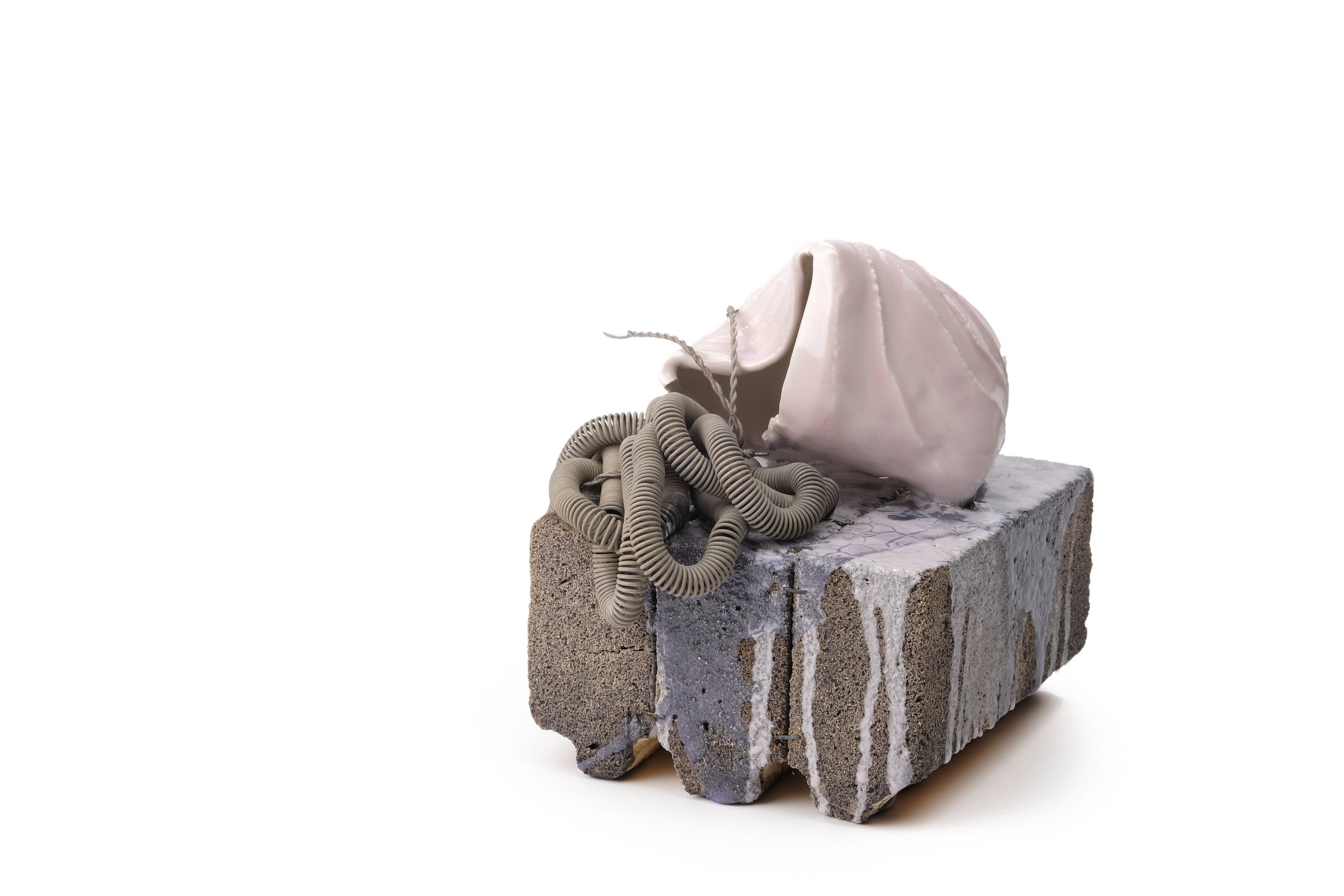 Pulsing with the Energy of Life_AmberZuber.JPG