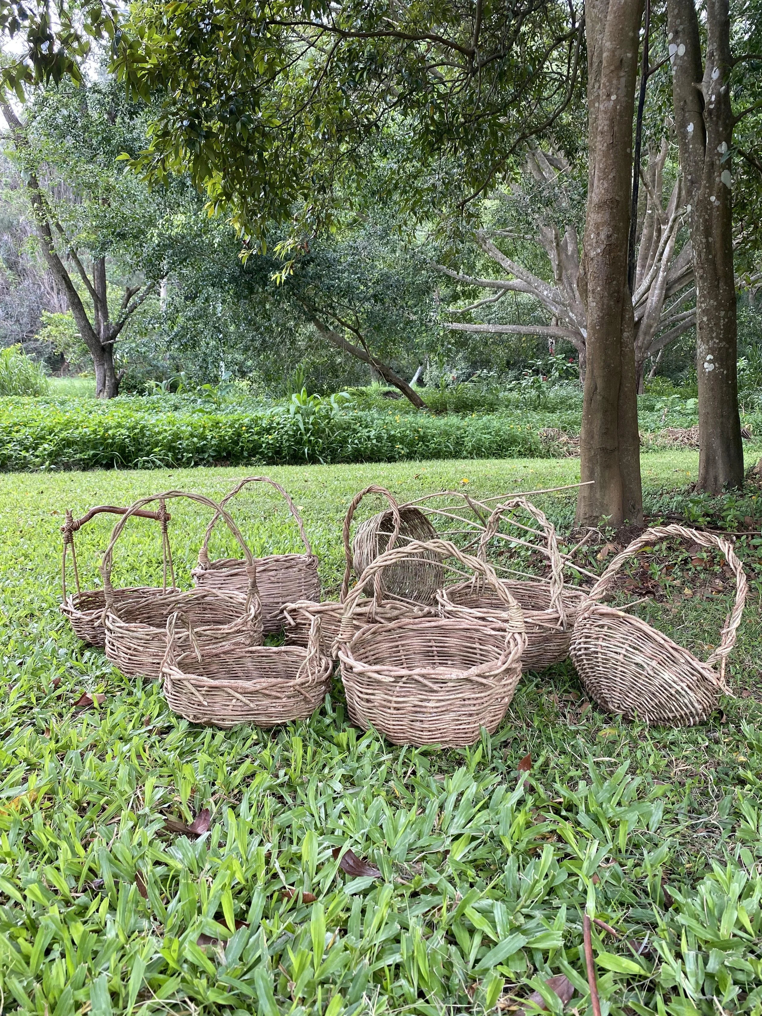 Why Pottery Lovers Should Join a Basket Weaving Workshop?