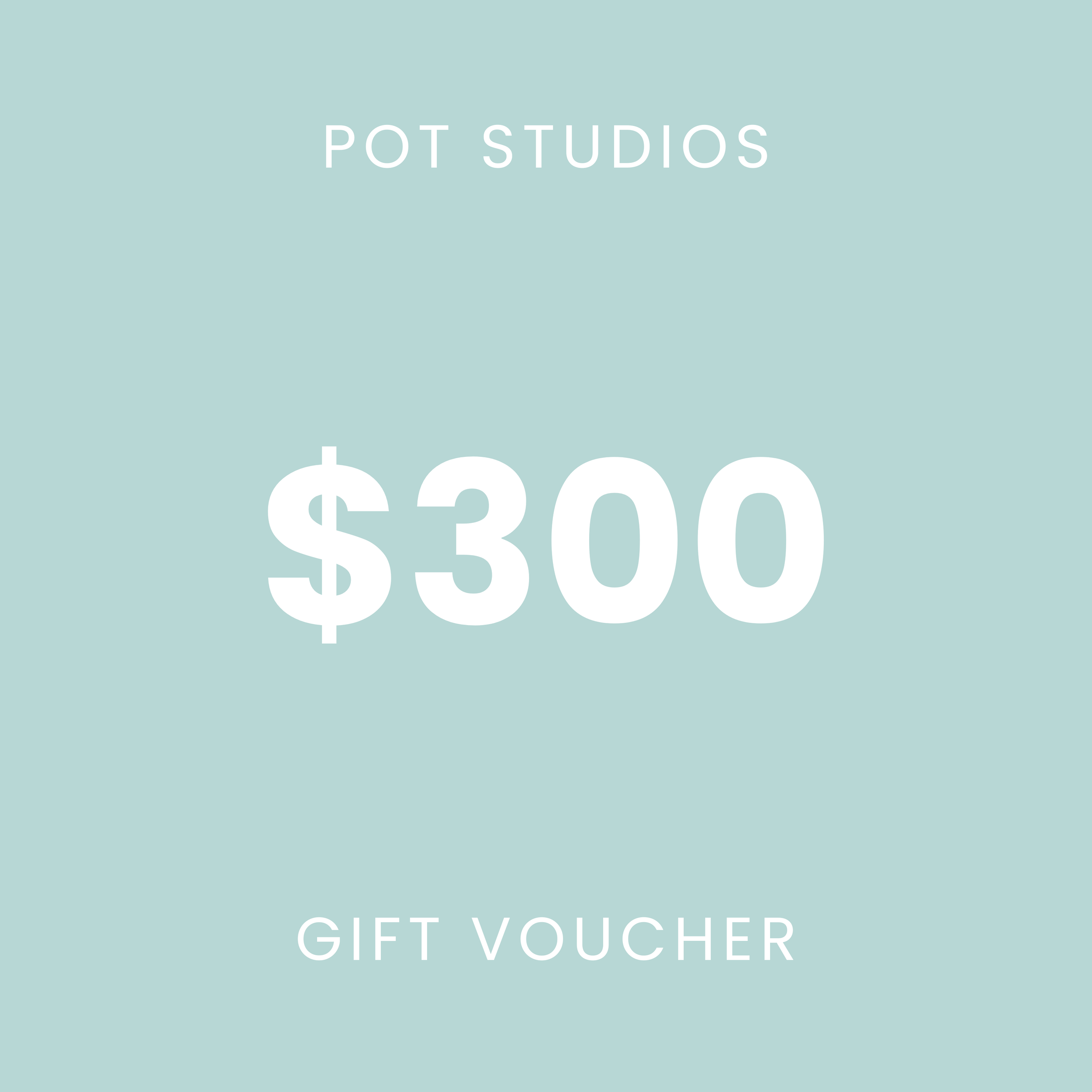 A voucher for Pot Studios valued at $300.