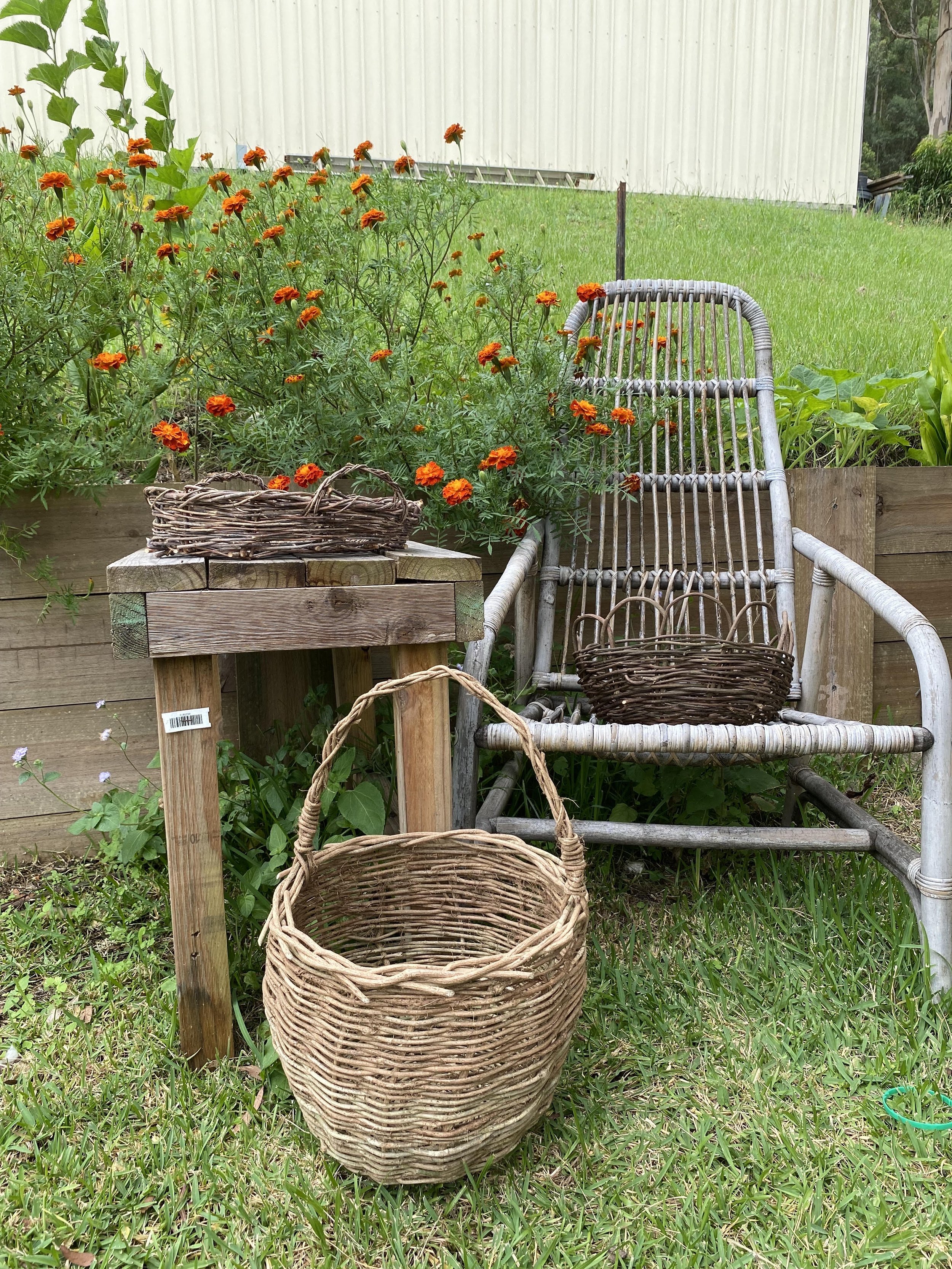 Basket Weaving Workshop