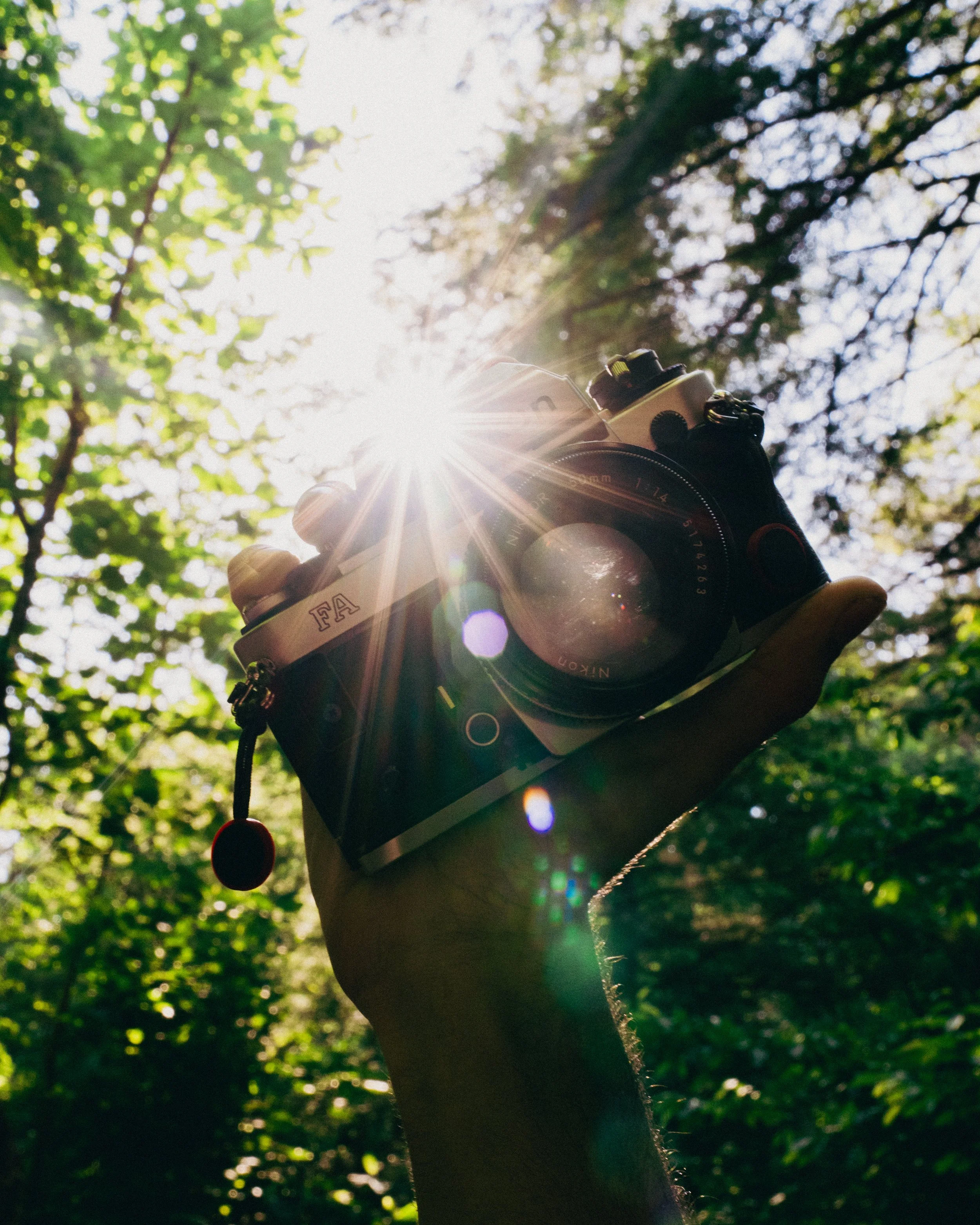 A person holding a camera up towards the sunlight, with trees and green foliage in the background.