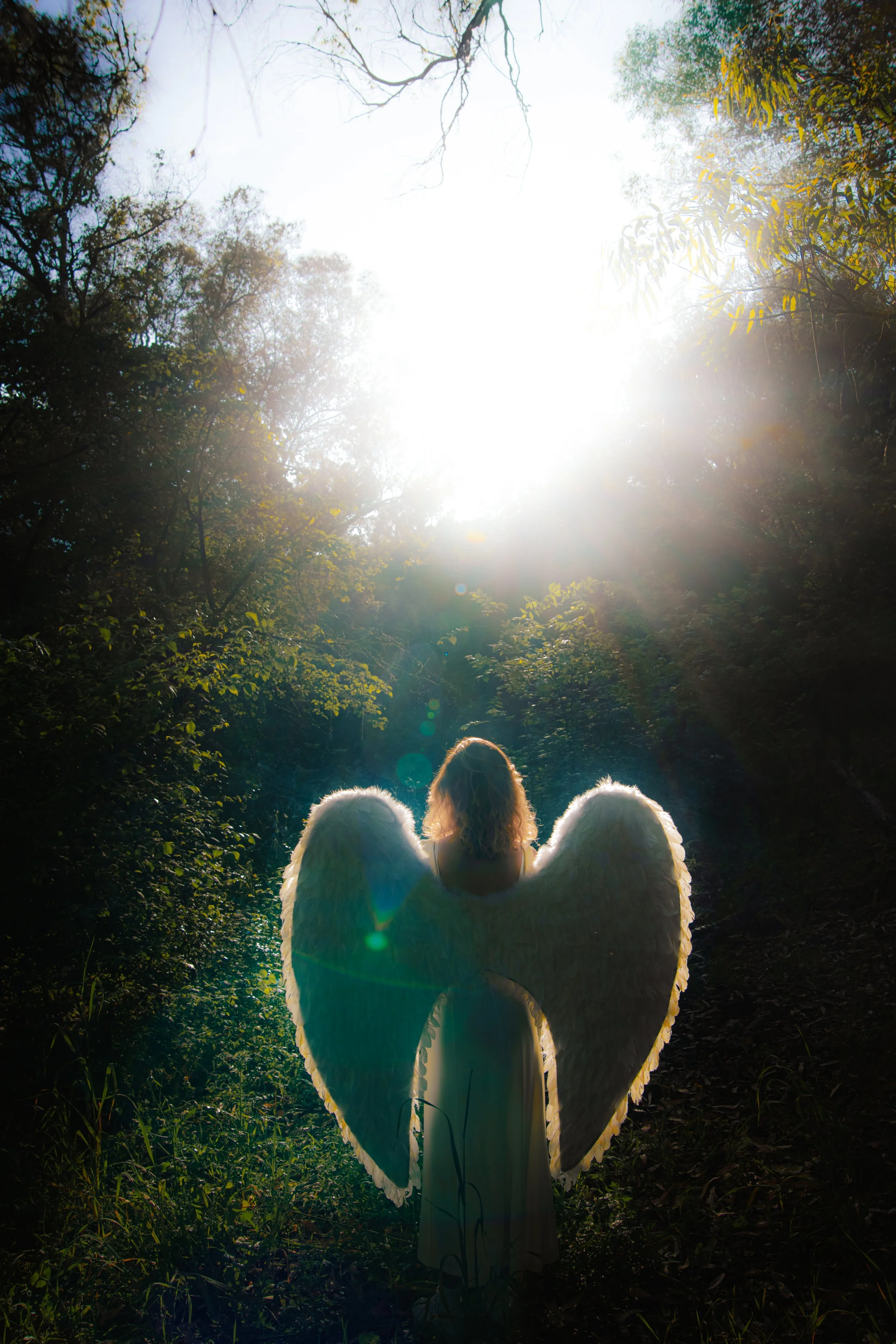 Pessoa com asas de anjo vestida de branco, de costas, em meio a floresta com o sol brilhando intensamente