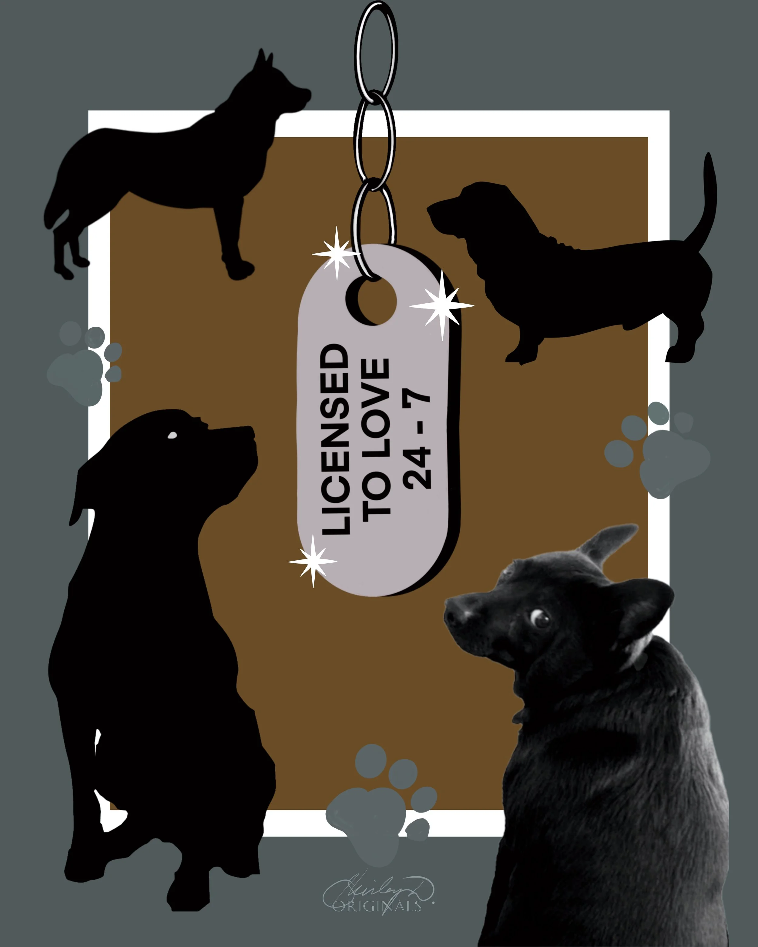 A graphic design featuring three silhouetted dogs, a photograph of a dog, a brown rectangle, a gray dog tag with the text "Licensed to Love 24-7," and paw prints in the background. Adopt a pet.