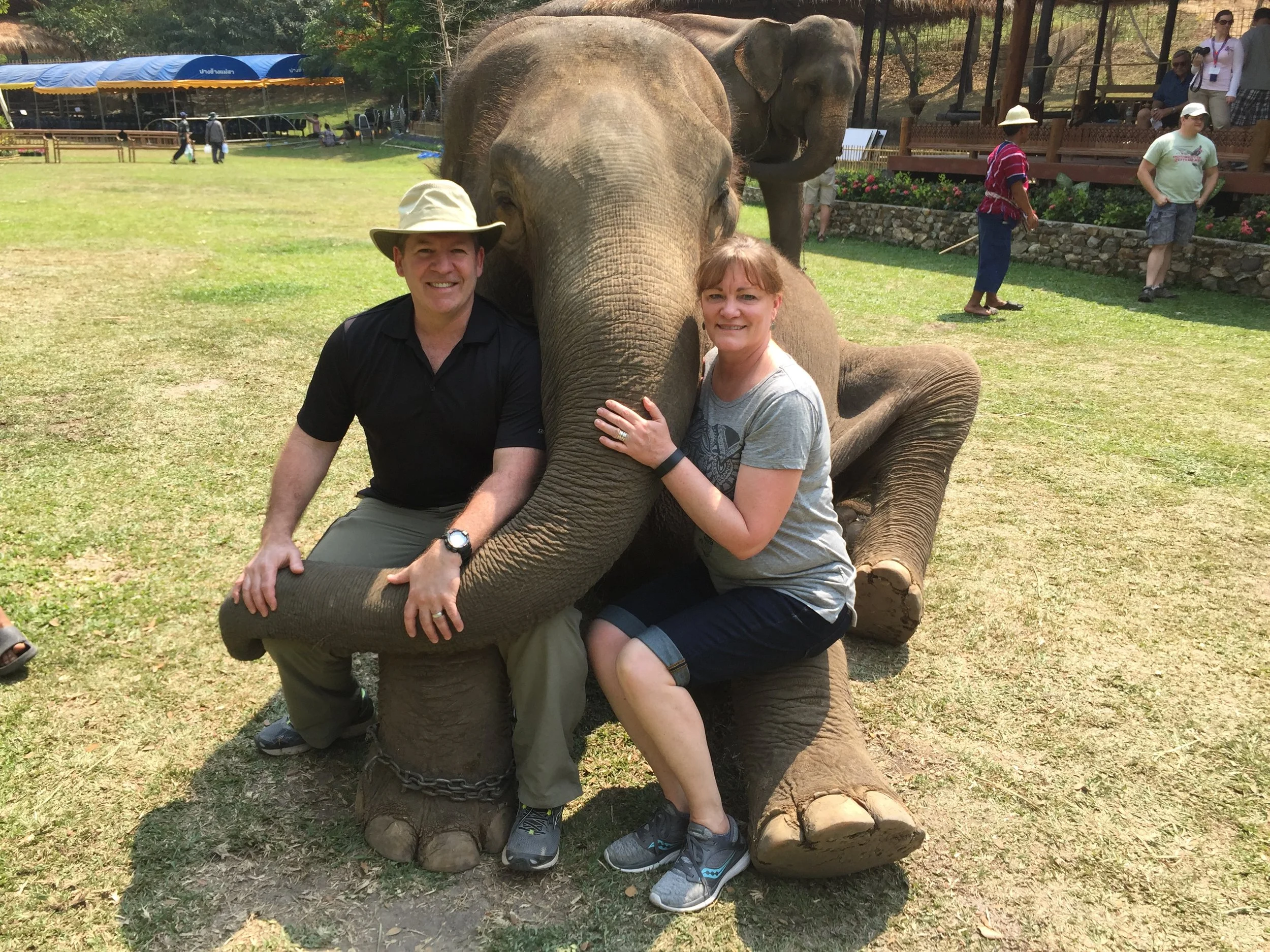 Two people sitting on the ground next to a kneeling elephant with one arm around it, in an outdoor setting with grass and other visitors in the background.