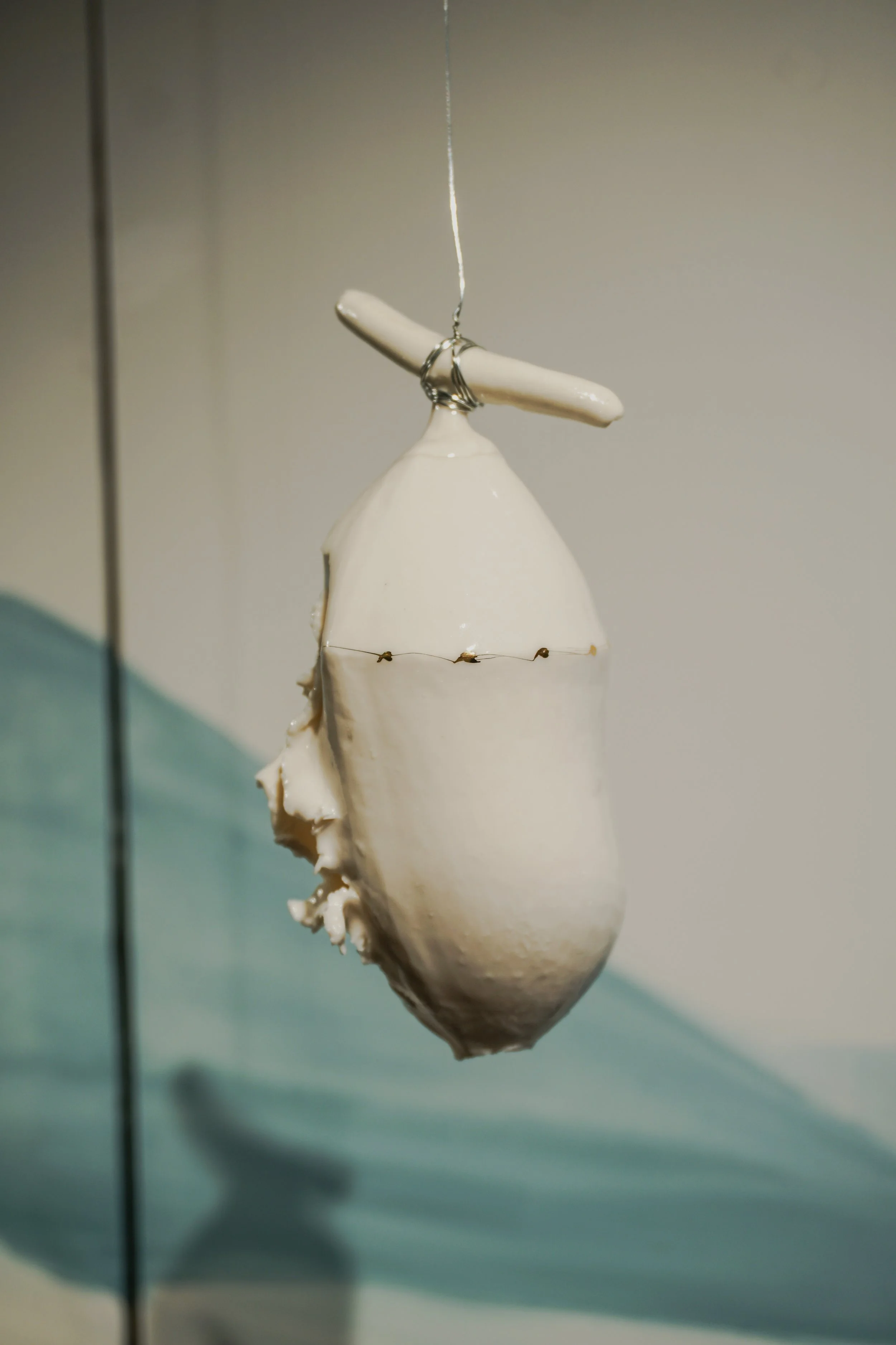 ECHOES OF THE LANDSCAPE (Detail) II